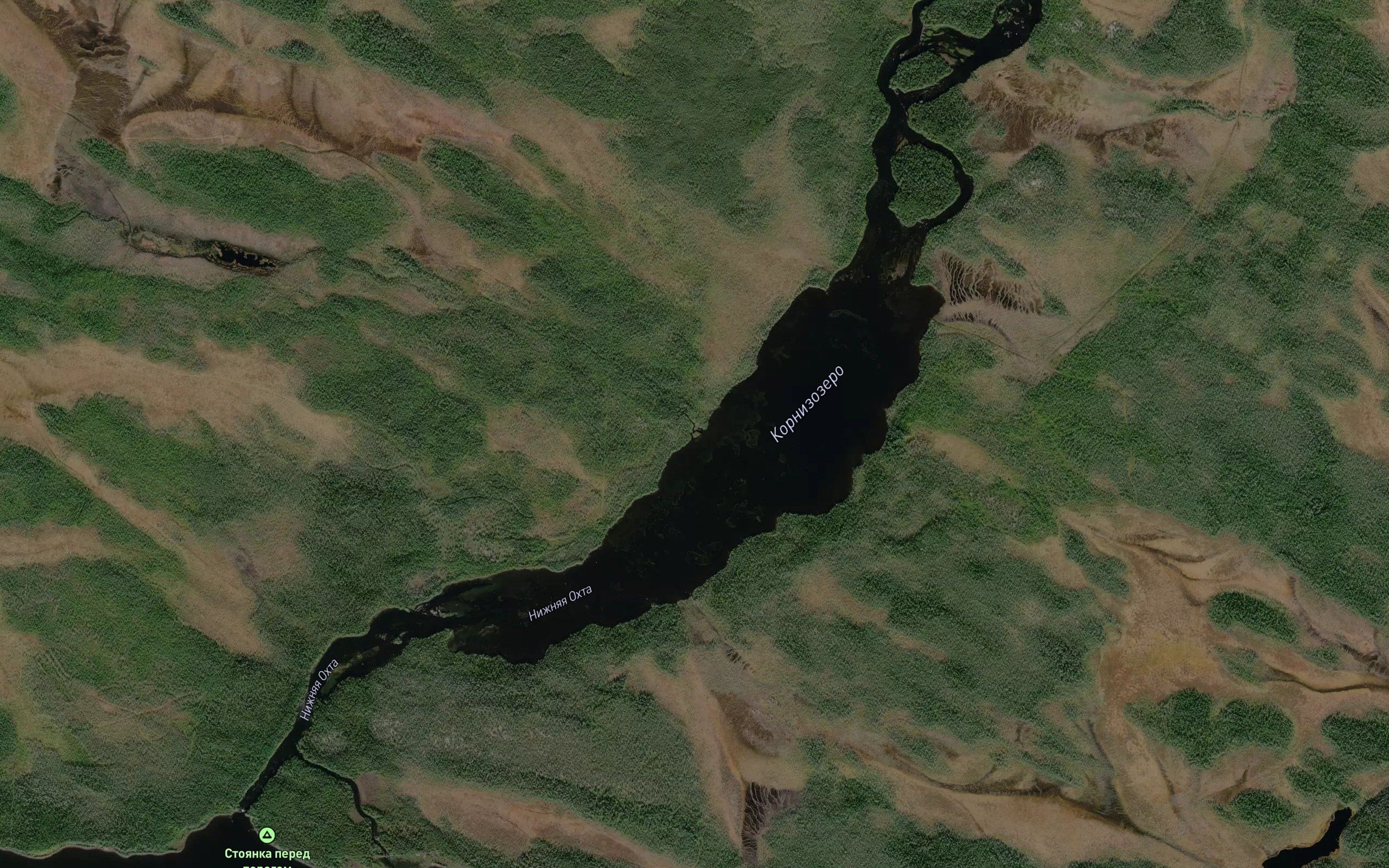 Kornizoya