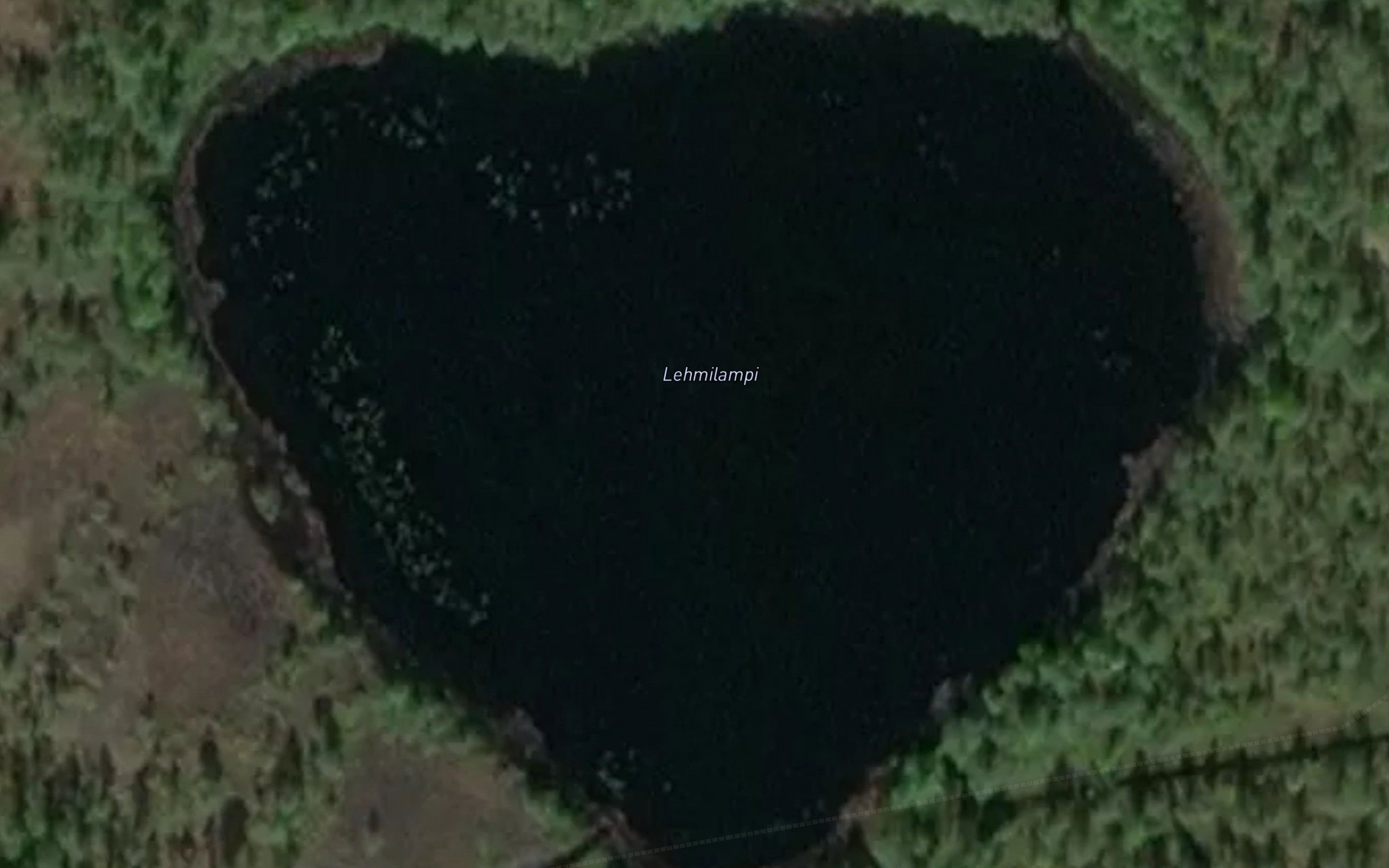Lehmilampi