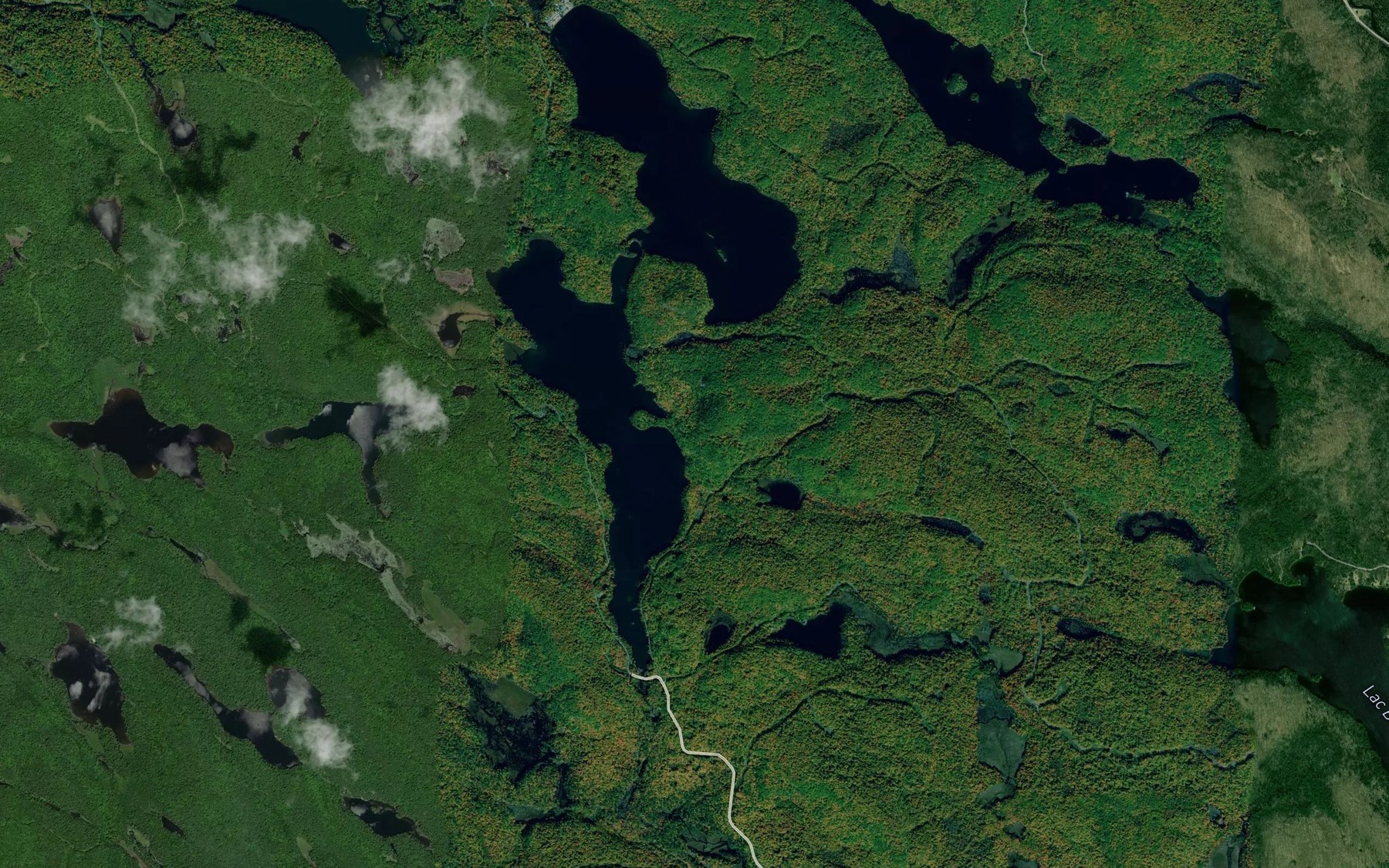 Satellite map of the Lacs Deer