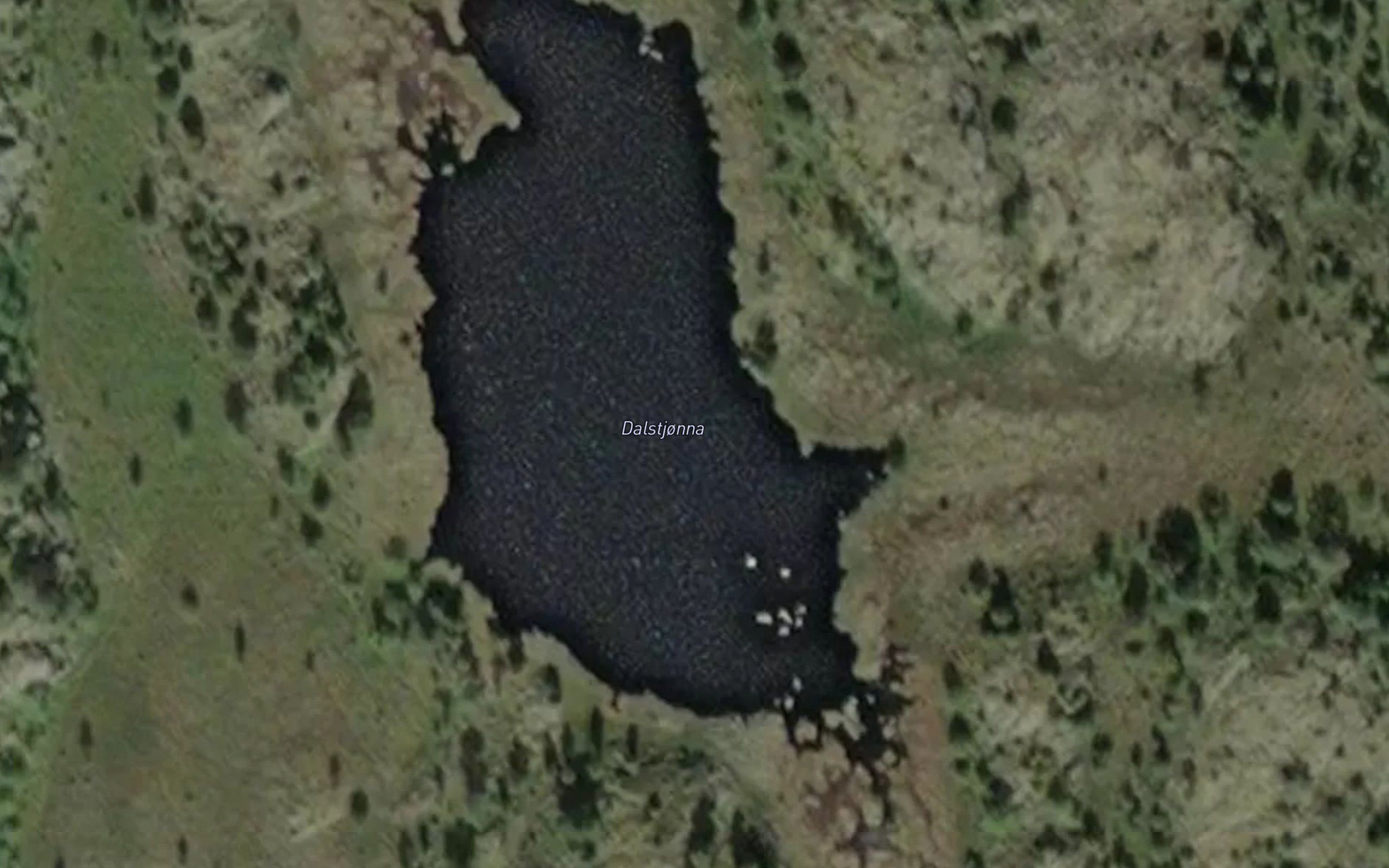 Dalstjonna