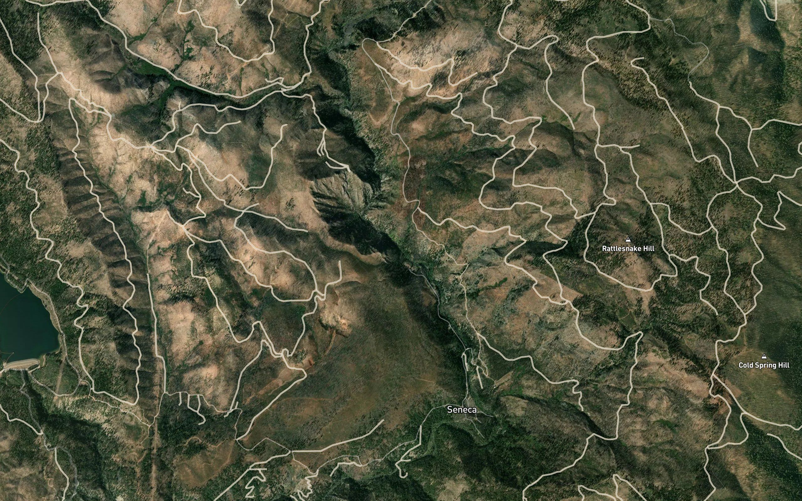 Pliocene Creek