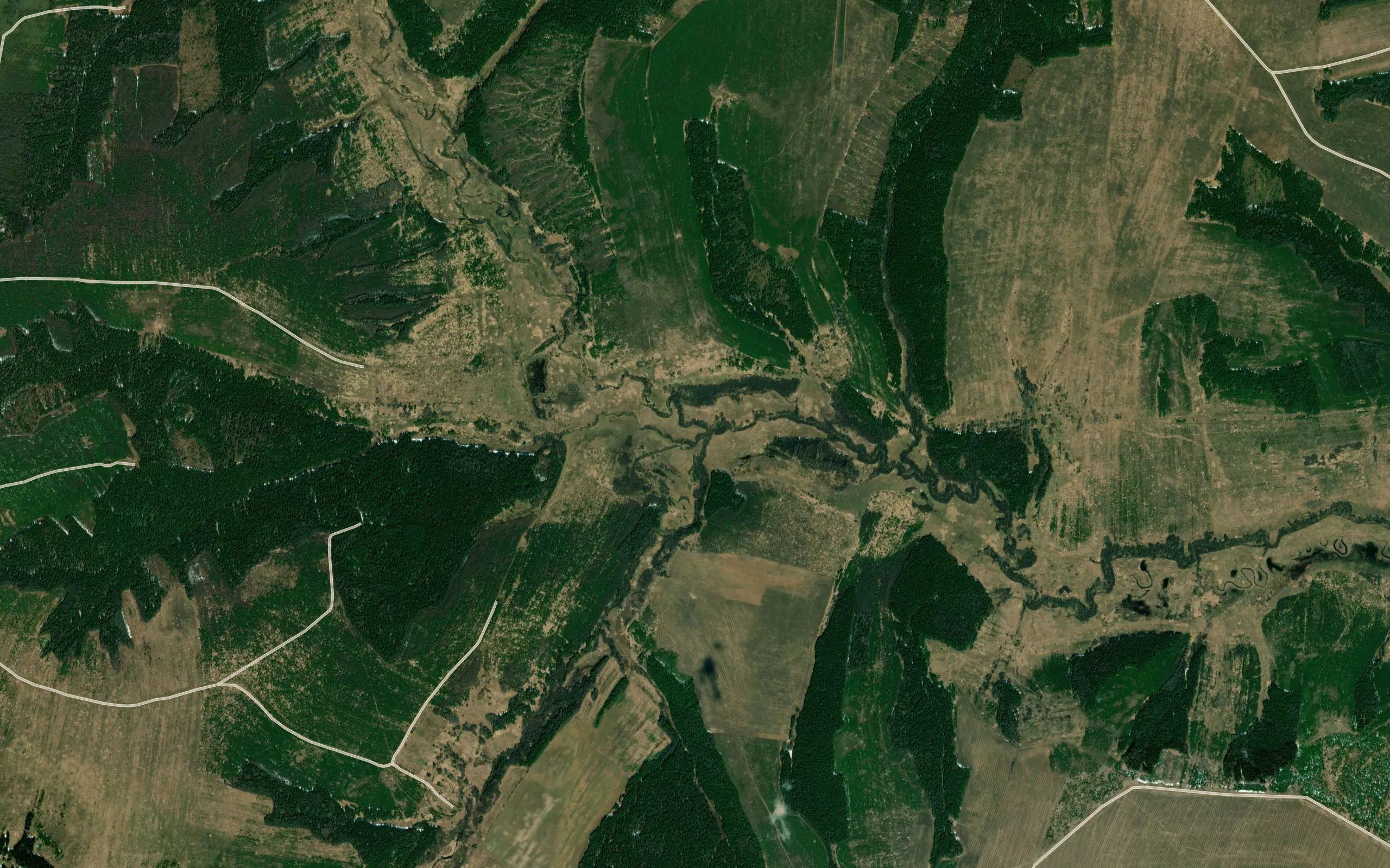 Mayurovka