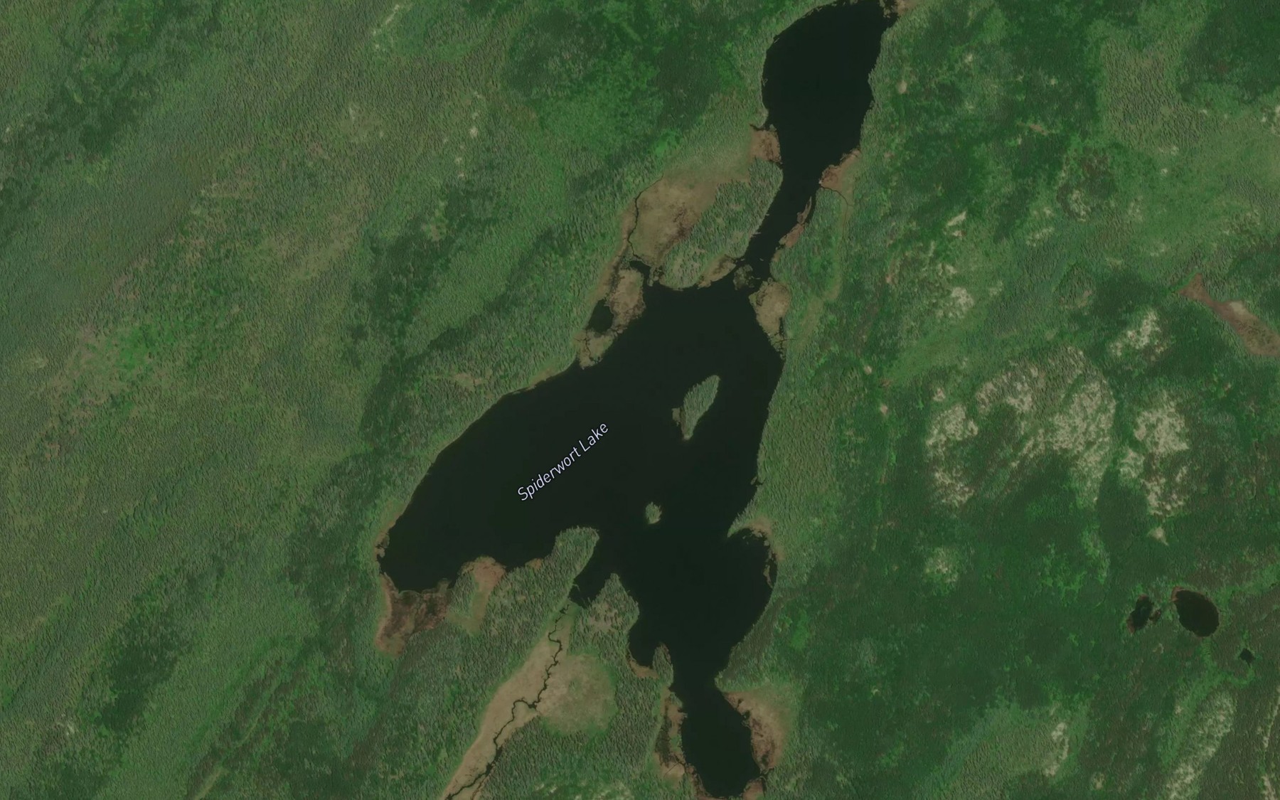 Satellite map of the Spiderwort Lake