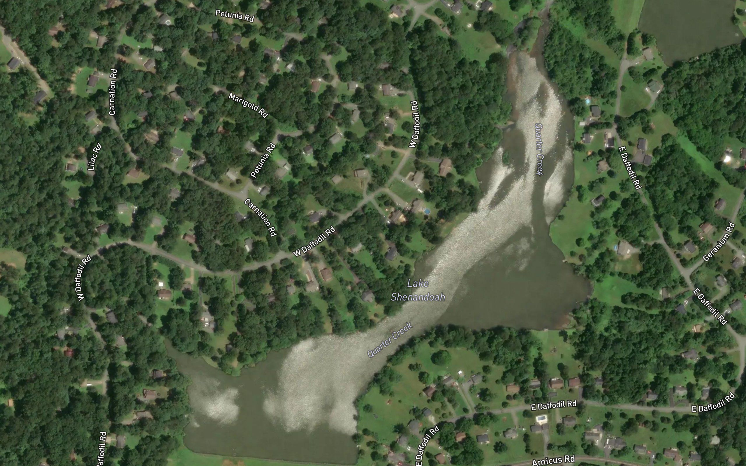 Lake Shenandoah