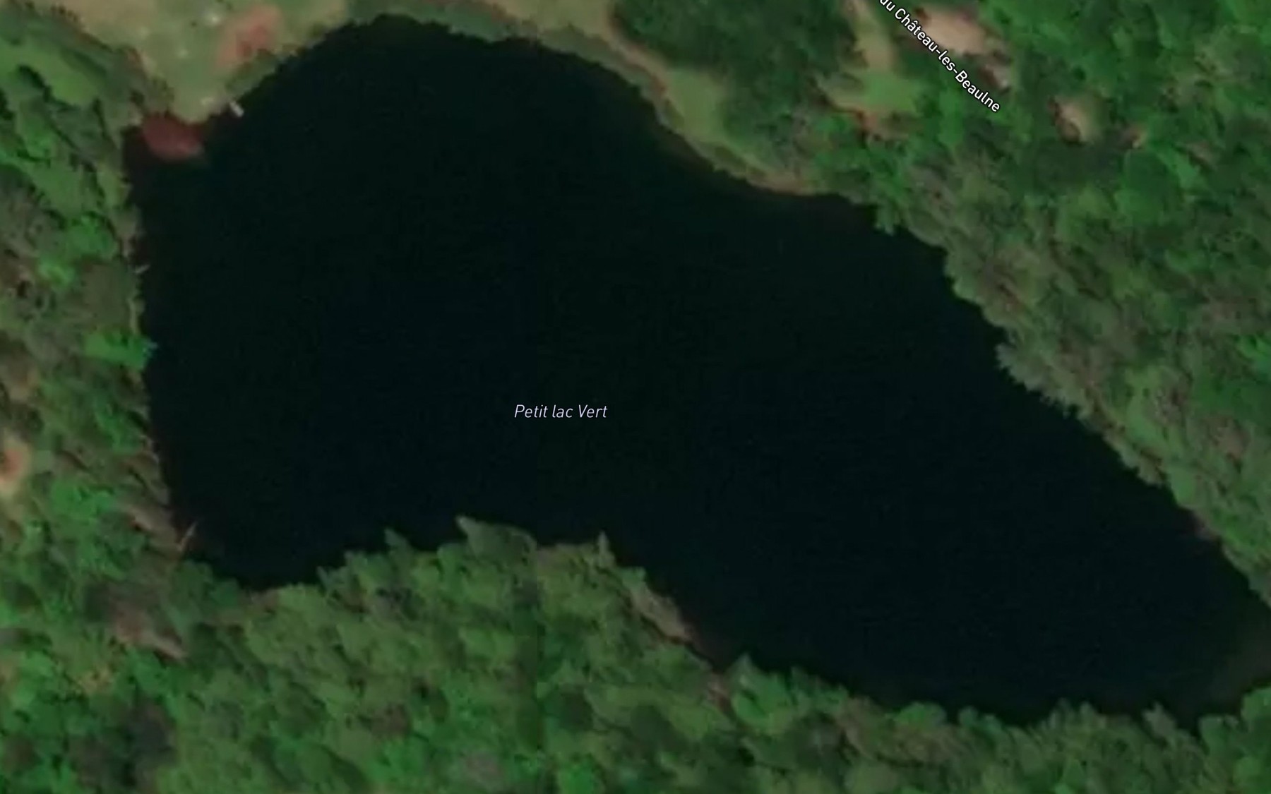 Satellite map of the Petit lac Vert