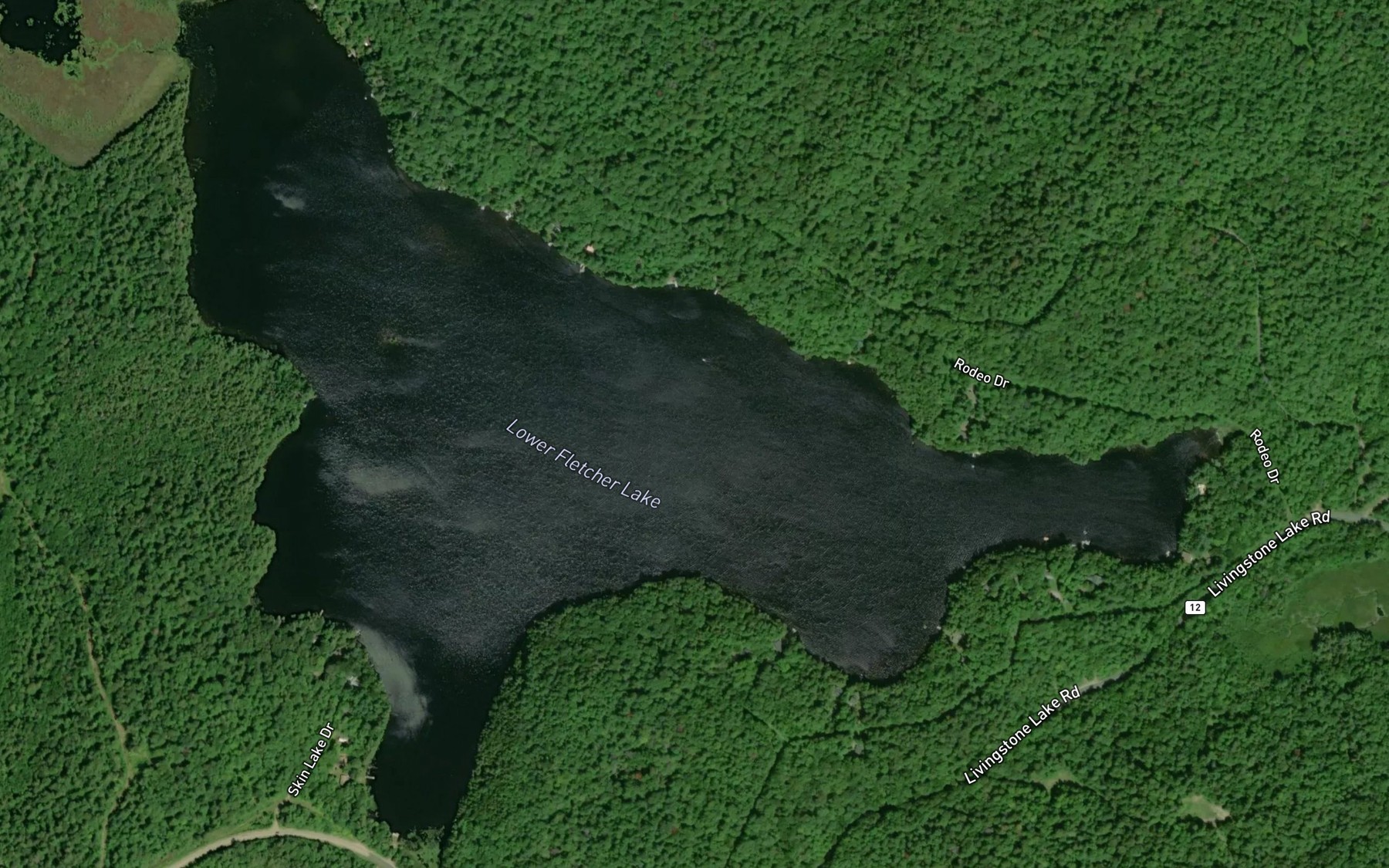 Satellite map of the Lower Fletcher Lake