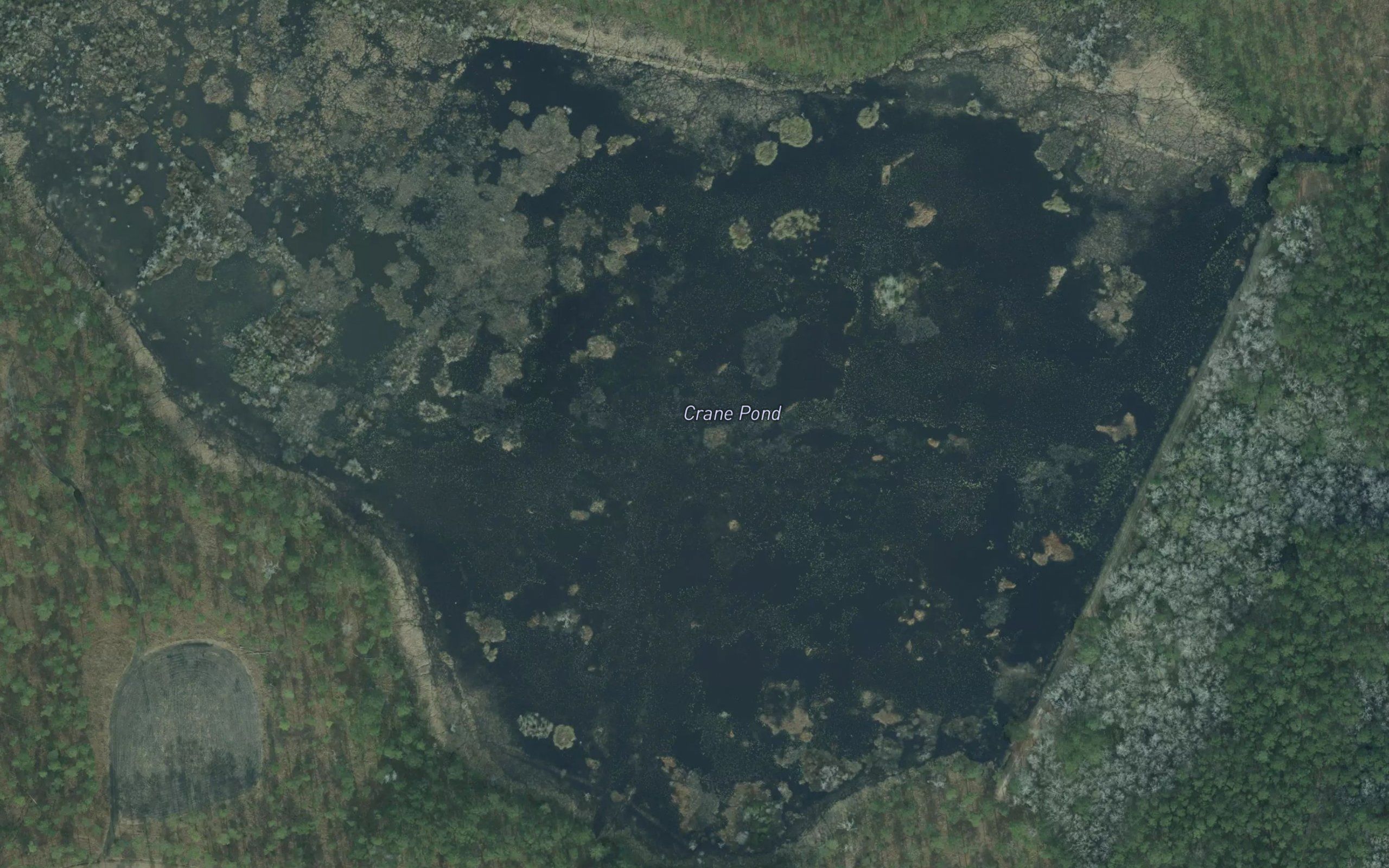 Crane Pond