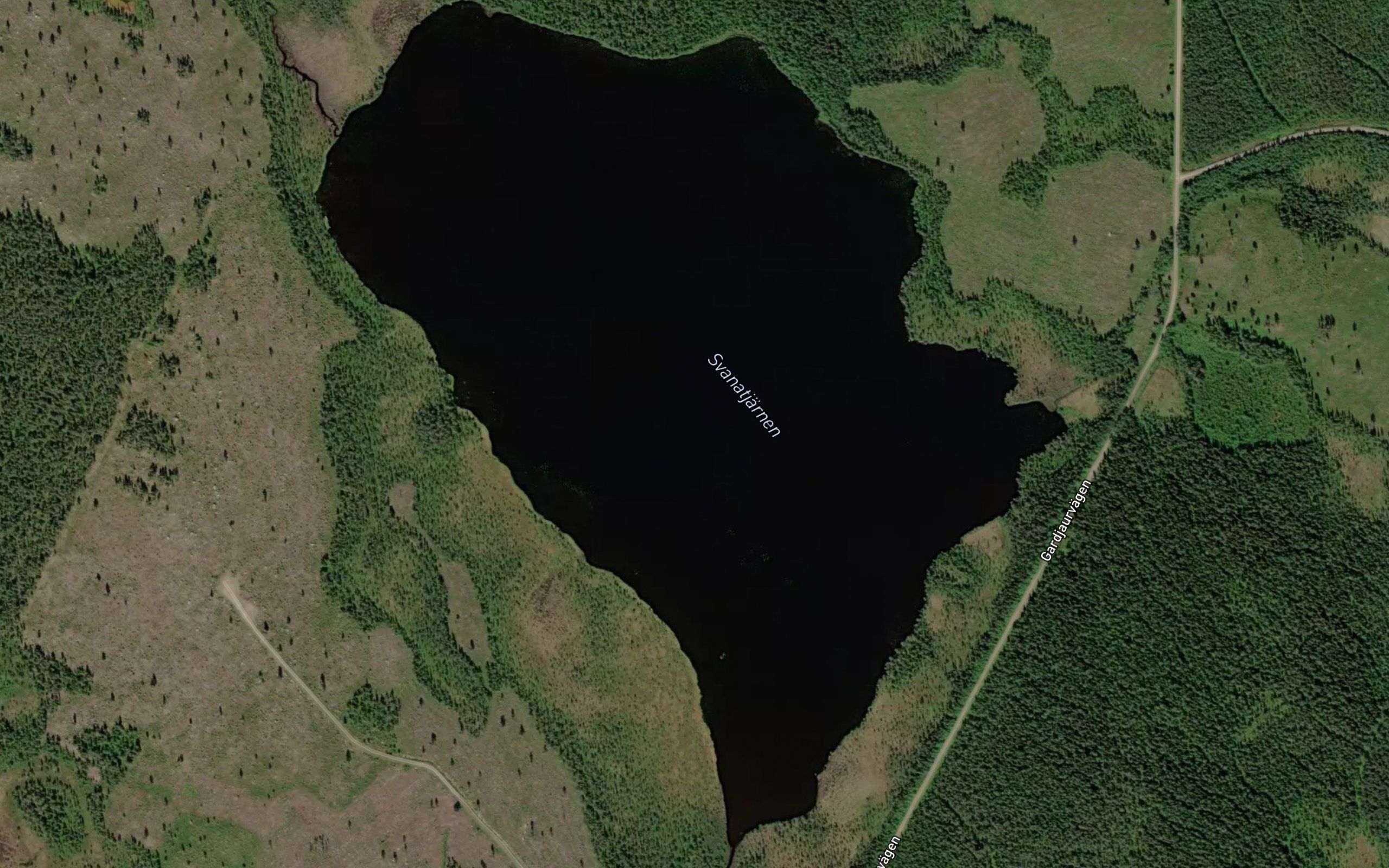 Svanatjaernen