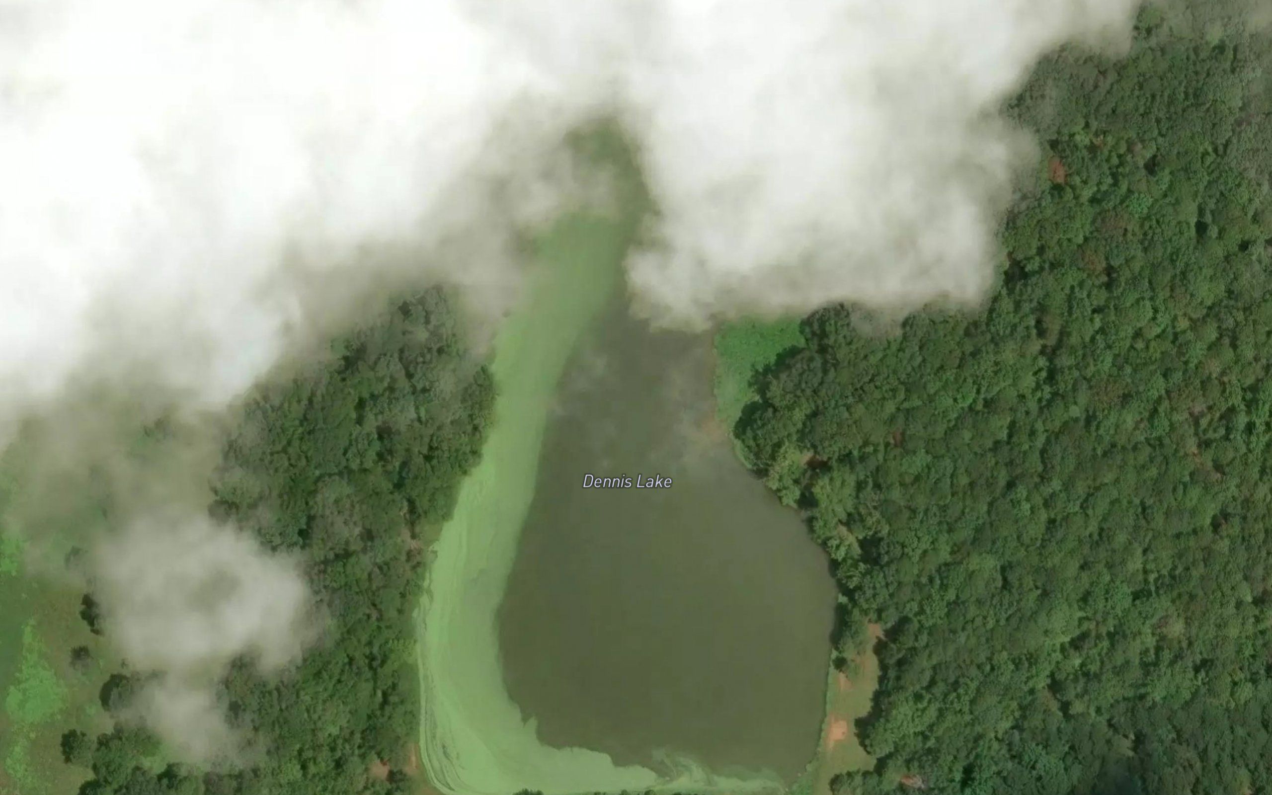 Dennis Lake