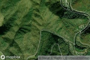 Poplar Hollow Branch