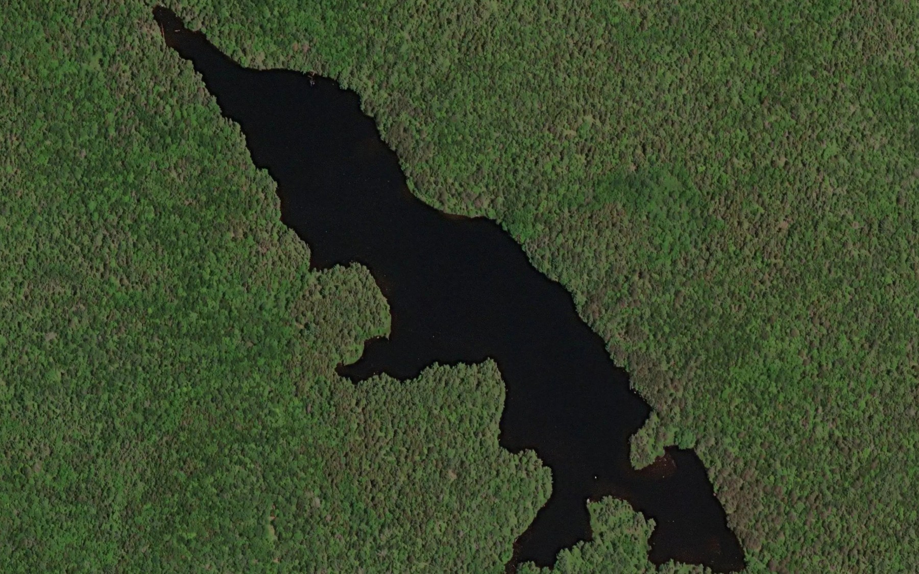 Satellite map of the Big Marshall Lake