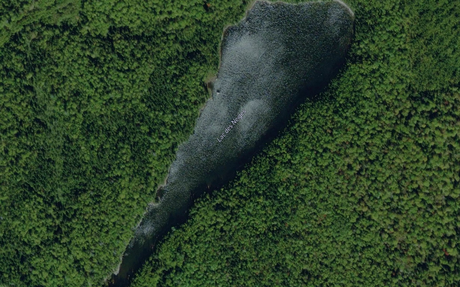 Satellite map of the Lac des Neiges