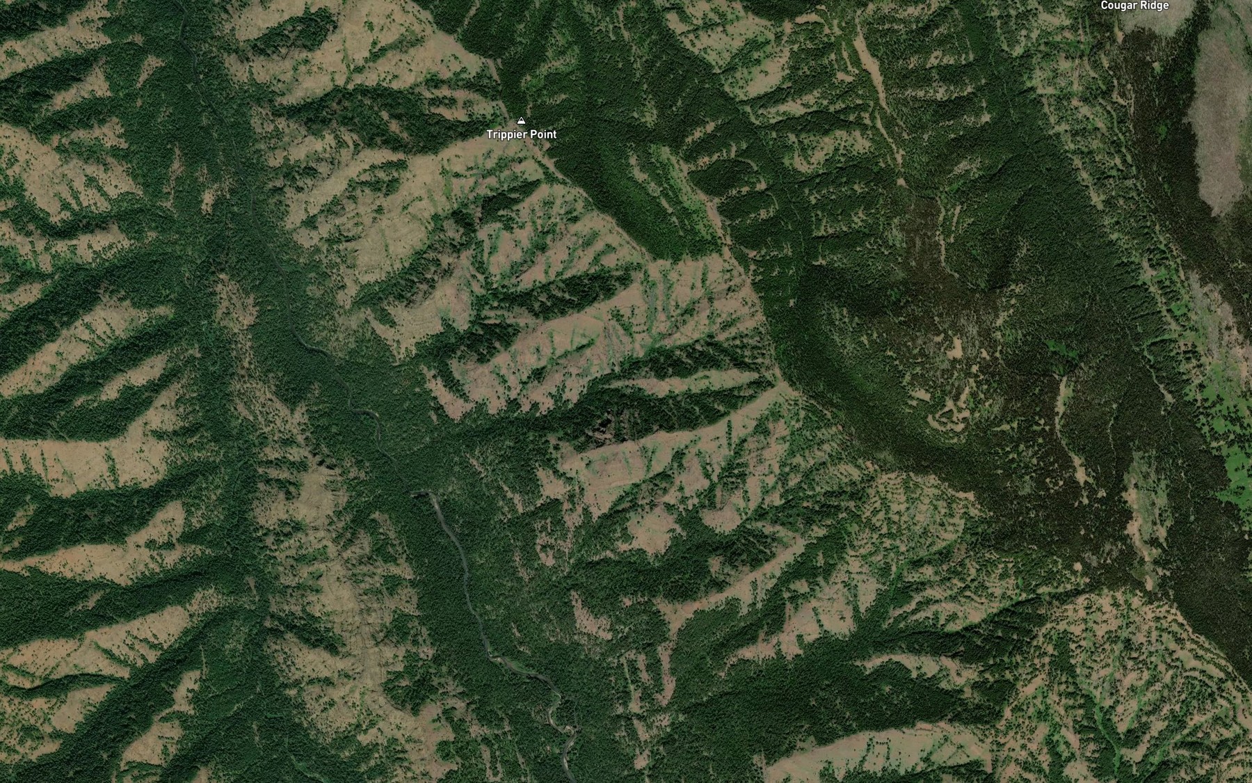 Satellite map of the Coyote Spring