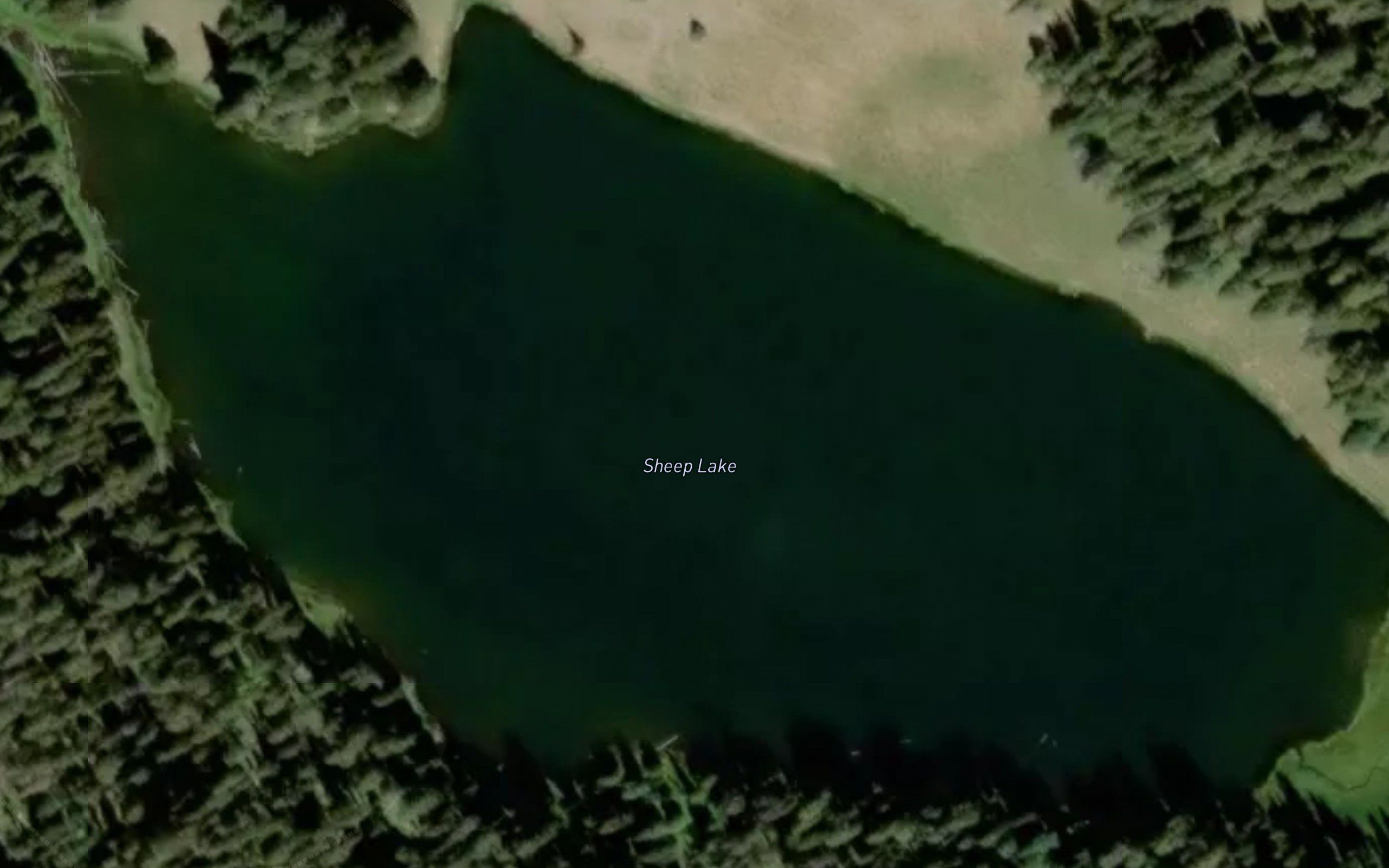 Sheep Lake