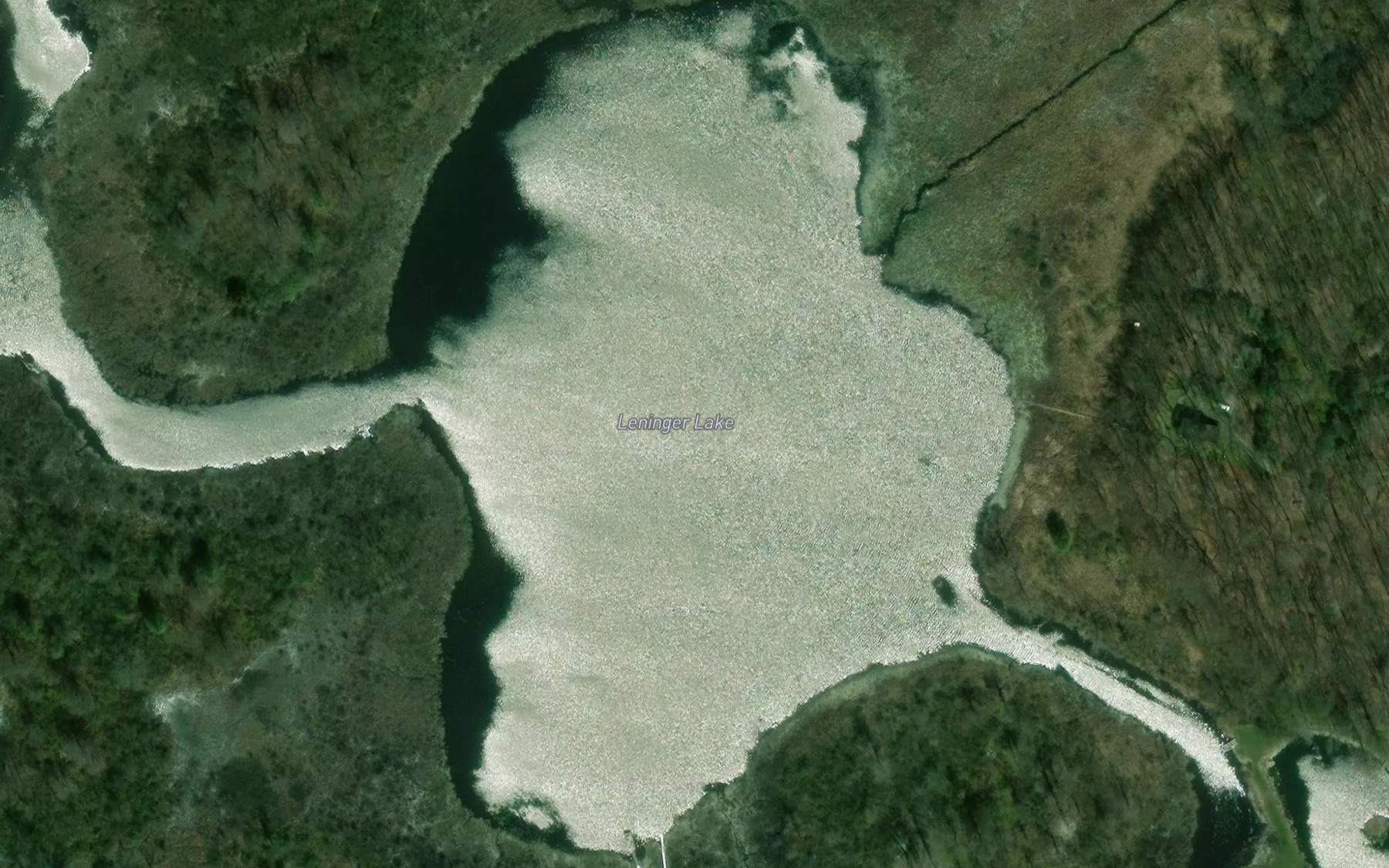 Satellite map of the Leninger Lake