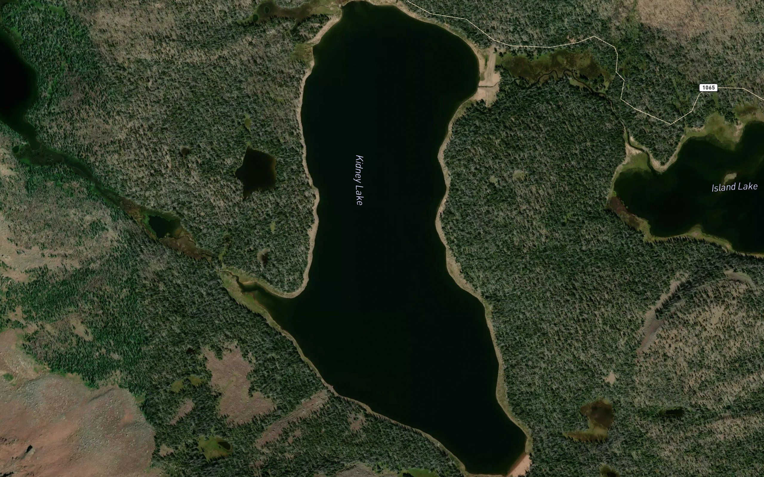 Kidney Lake