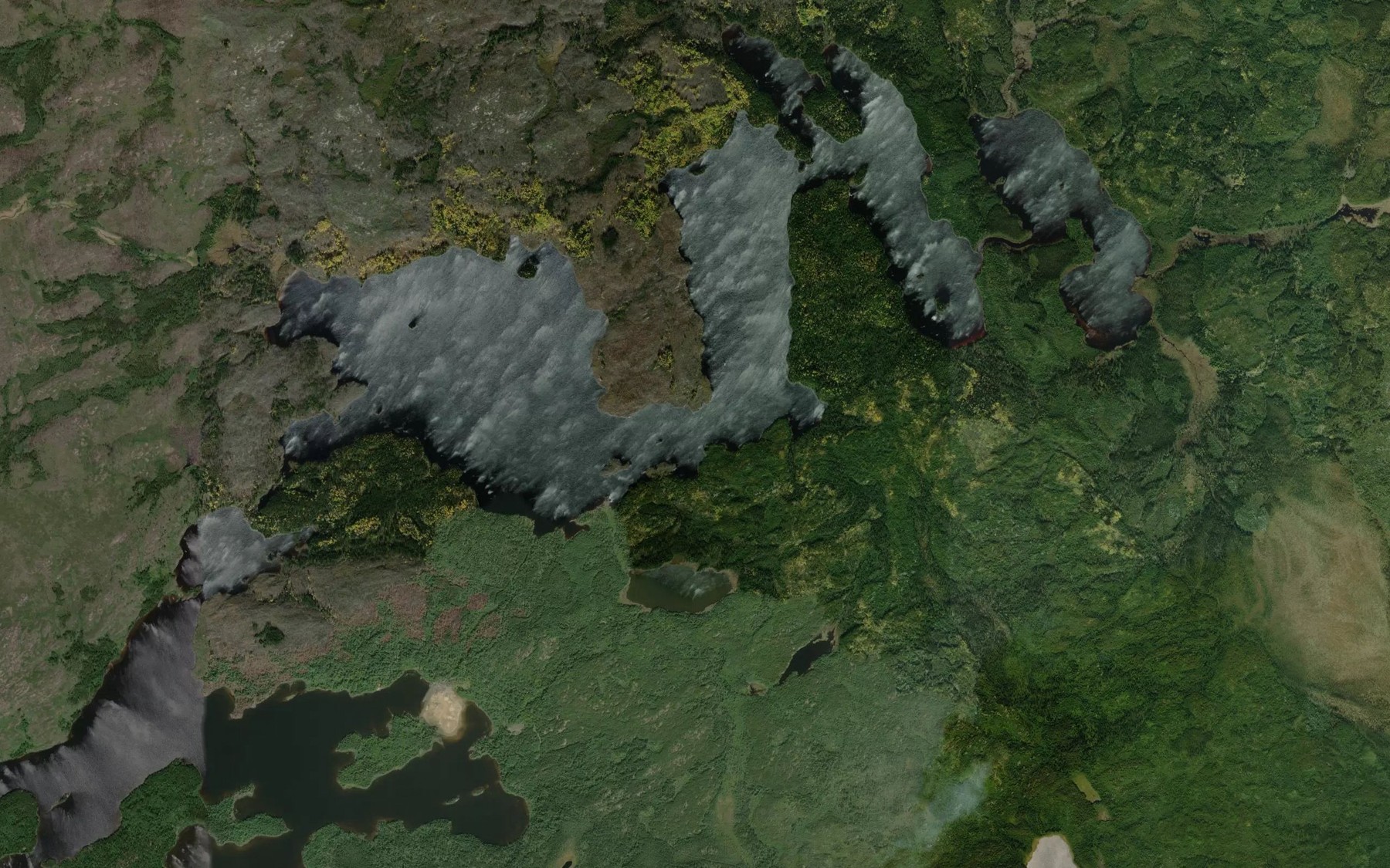 Satellite map of the Richardson Lake