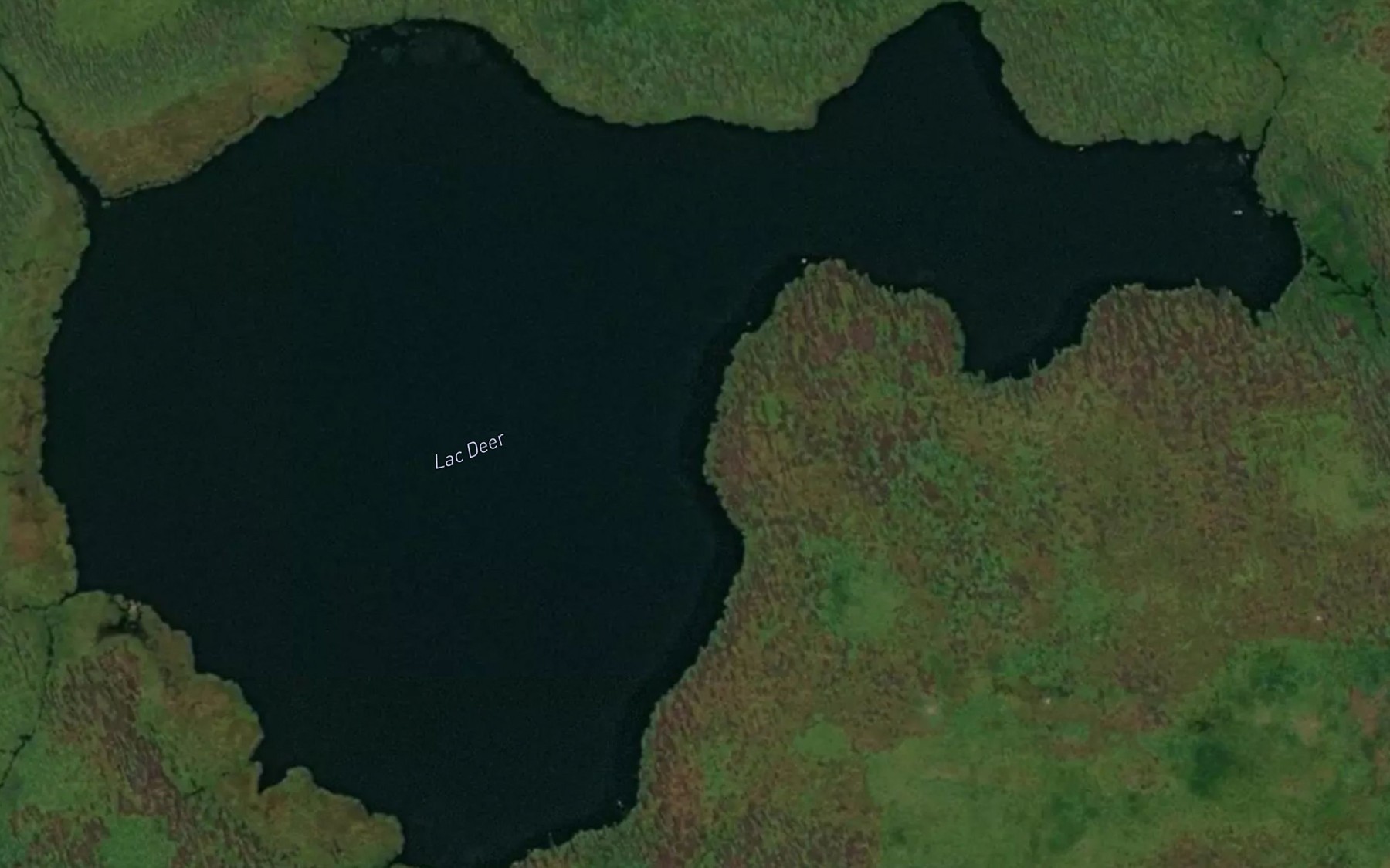 Satellite map of the Lac Deer