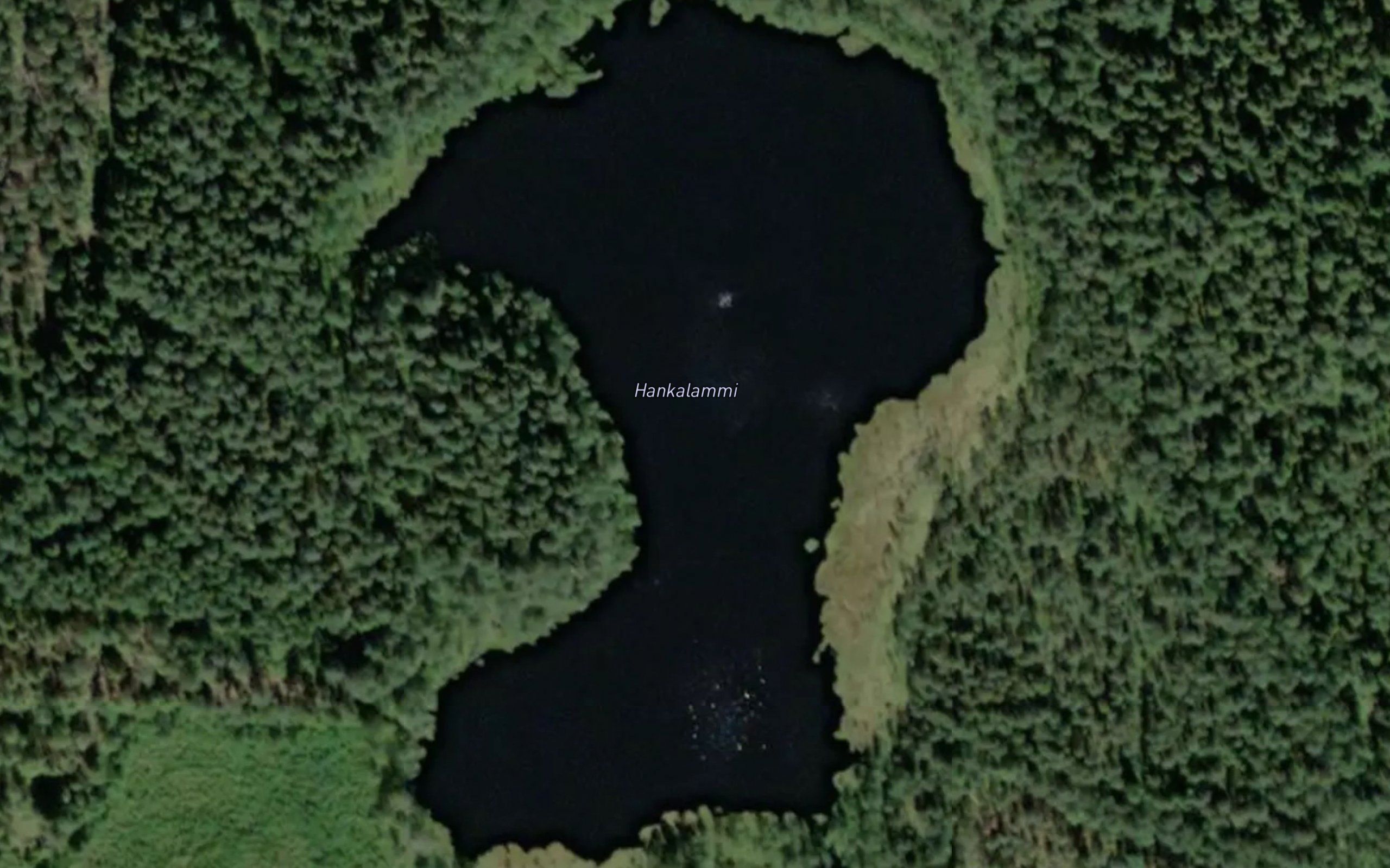 Hankalammi