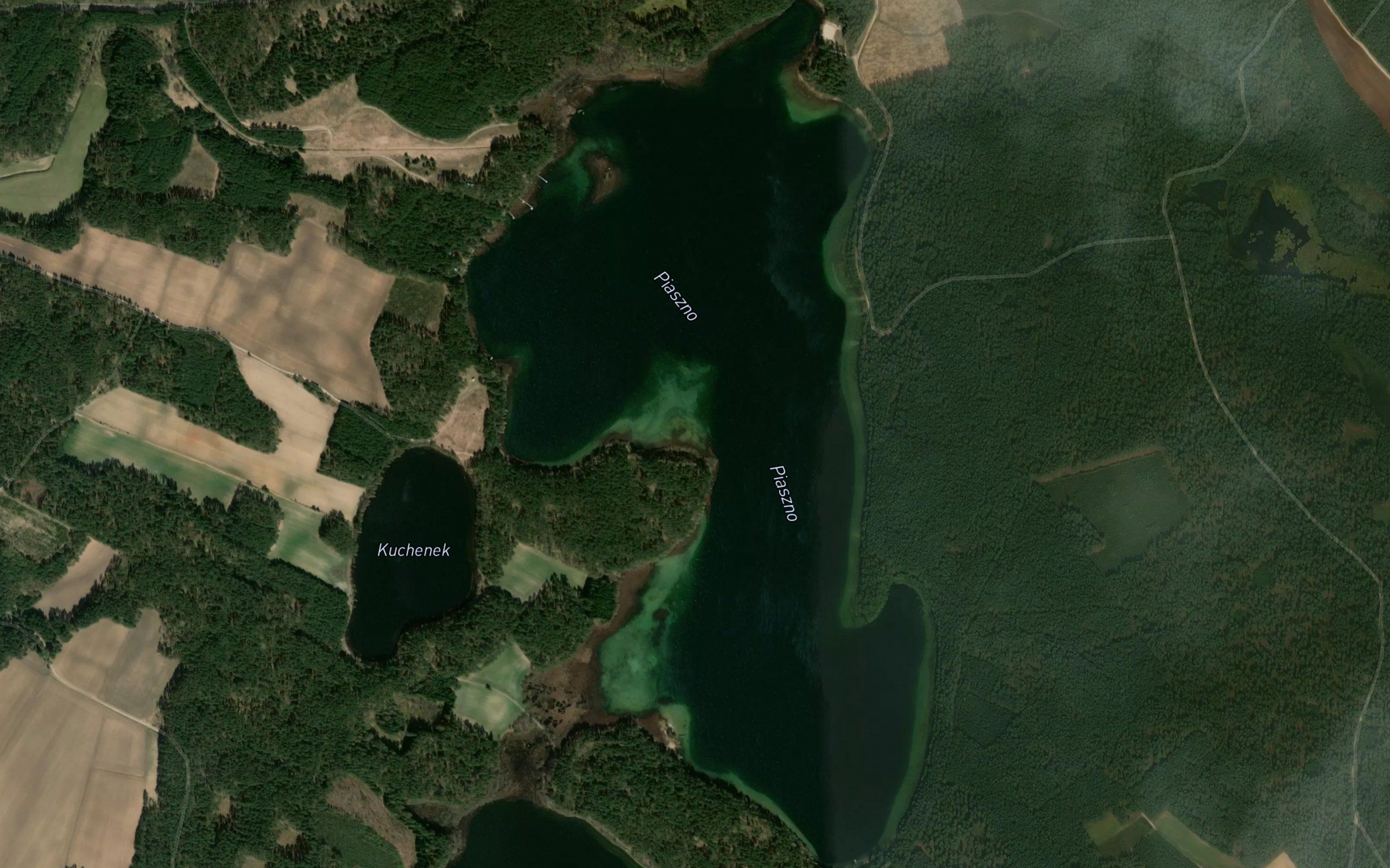 Jezioro Piaszno