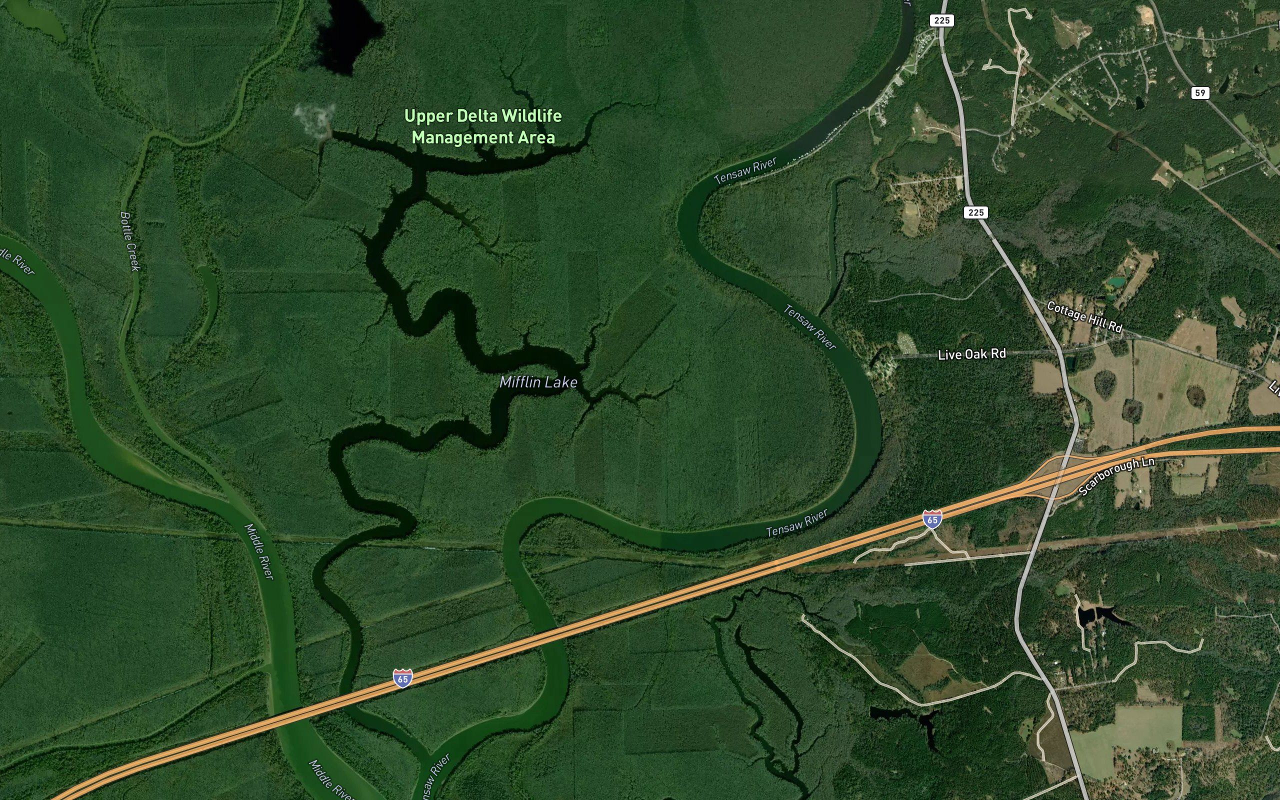 Squirrel Bayou