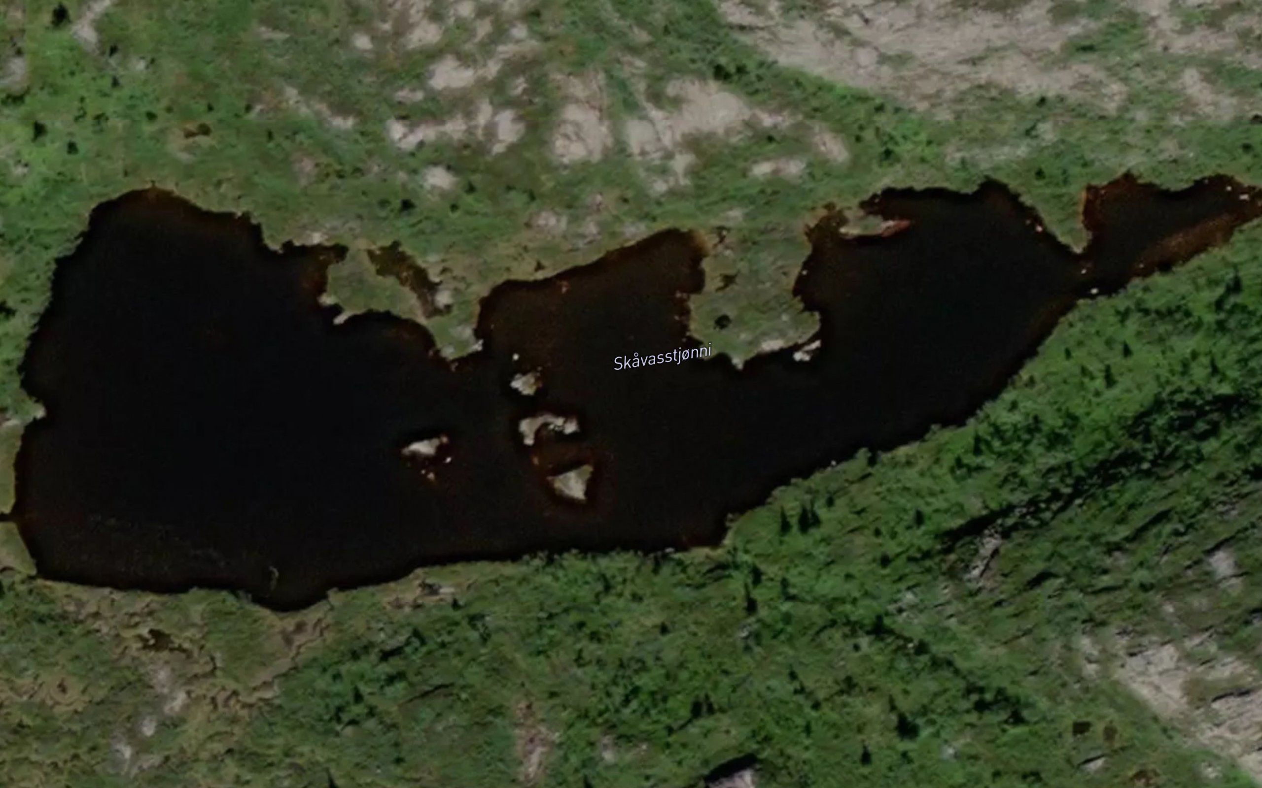 Skavasstjonni