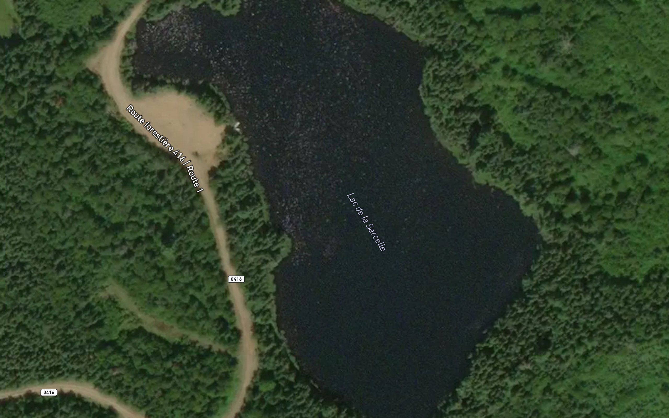 Lac de la Sarcelle