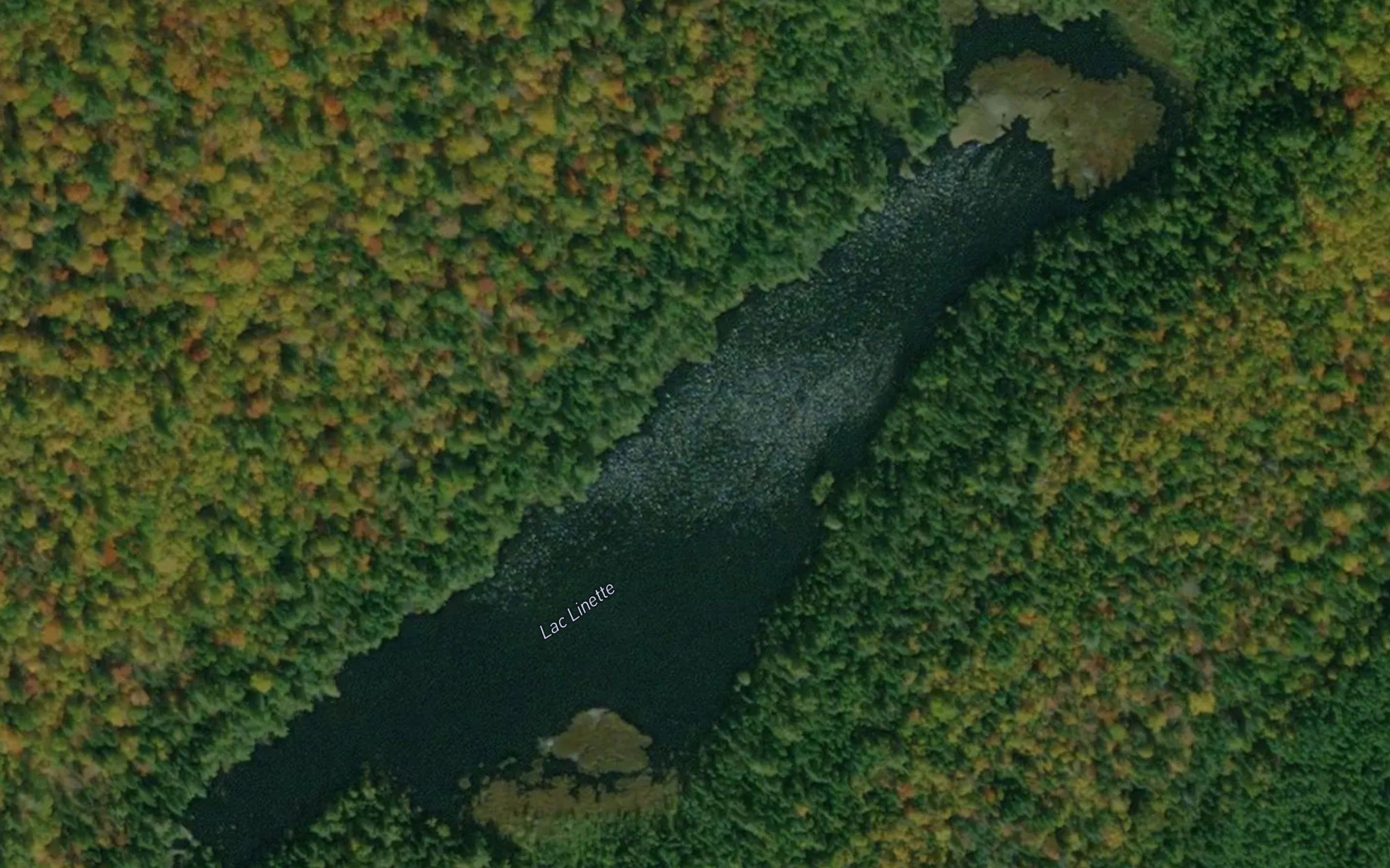Lac Linette