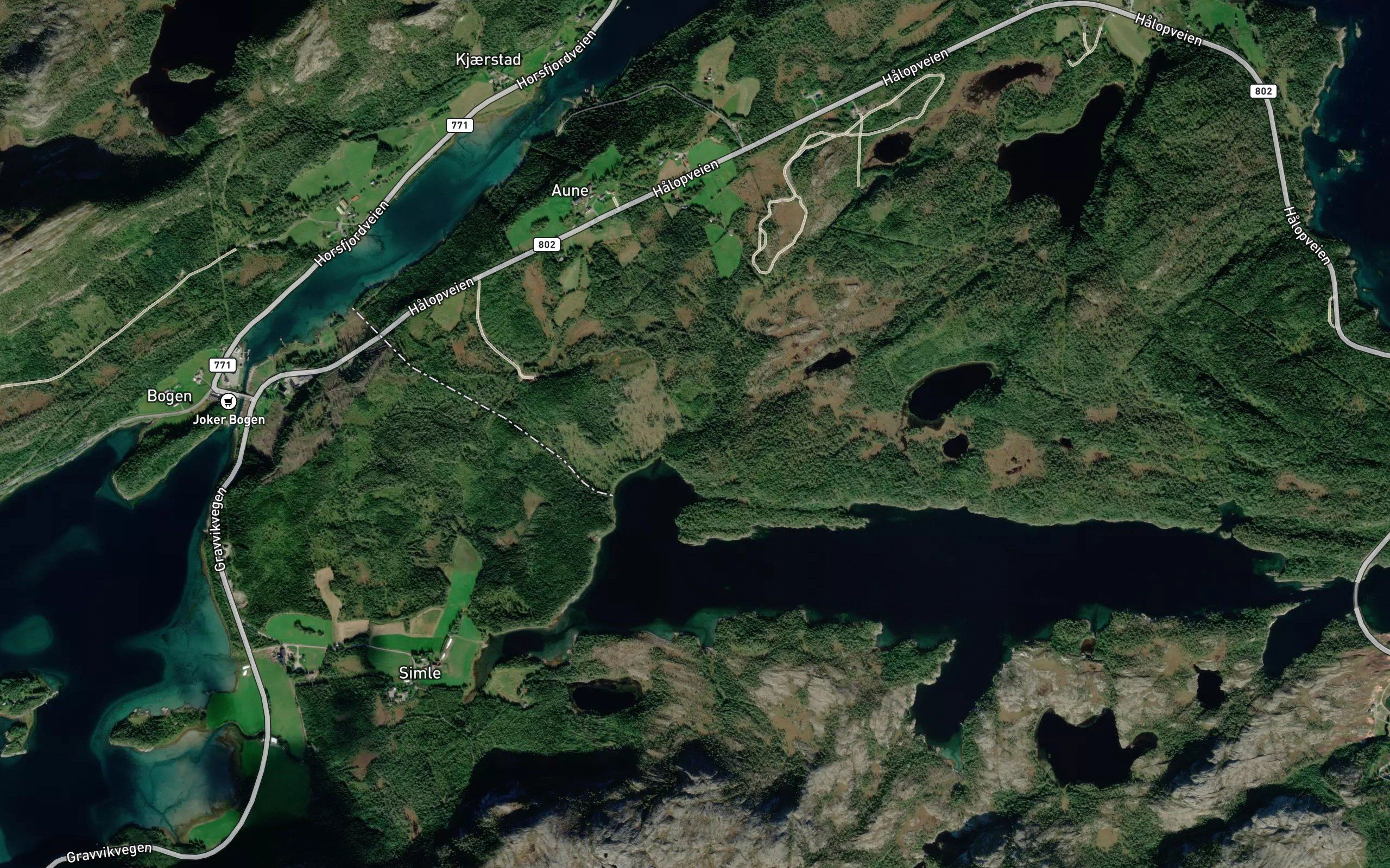 Tosvikbogelva