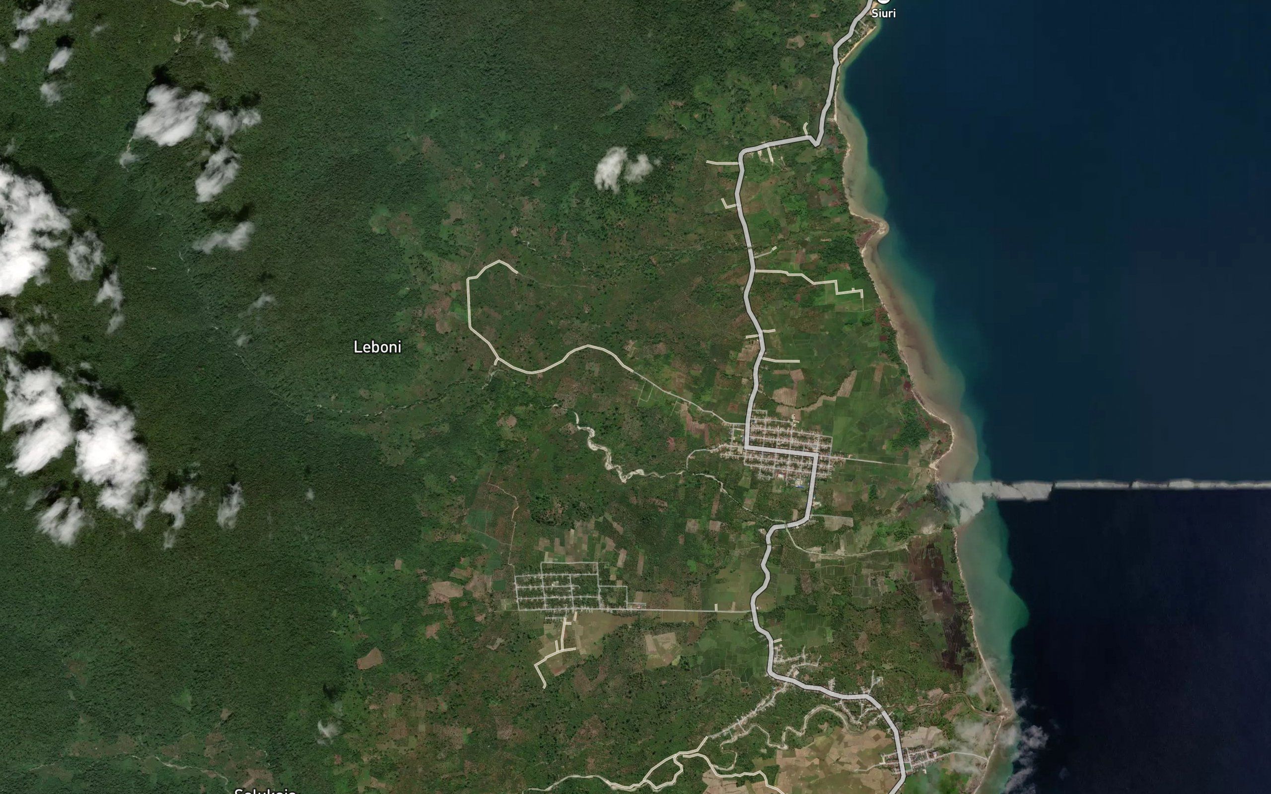 Halu Peatua