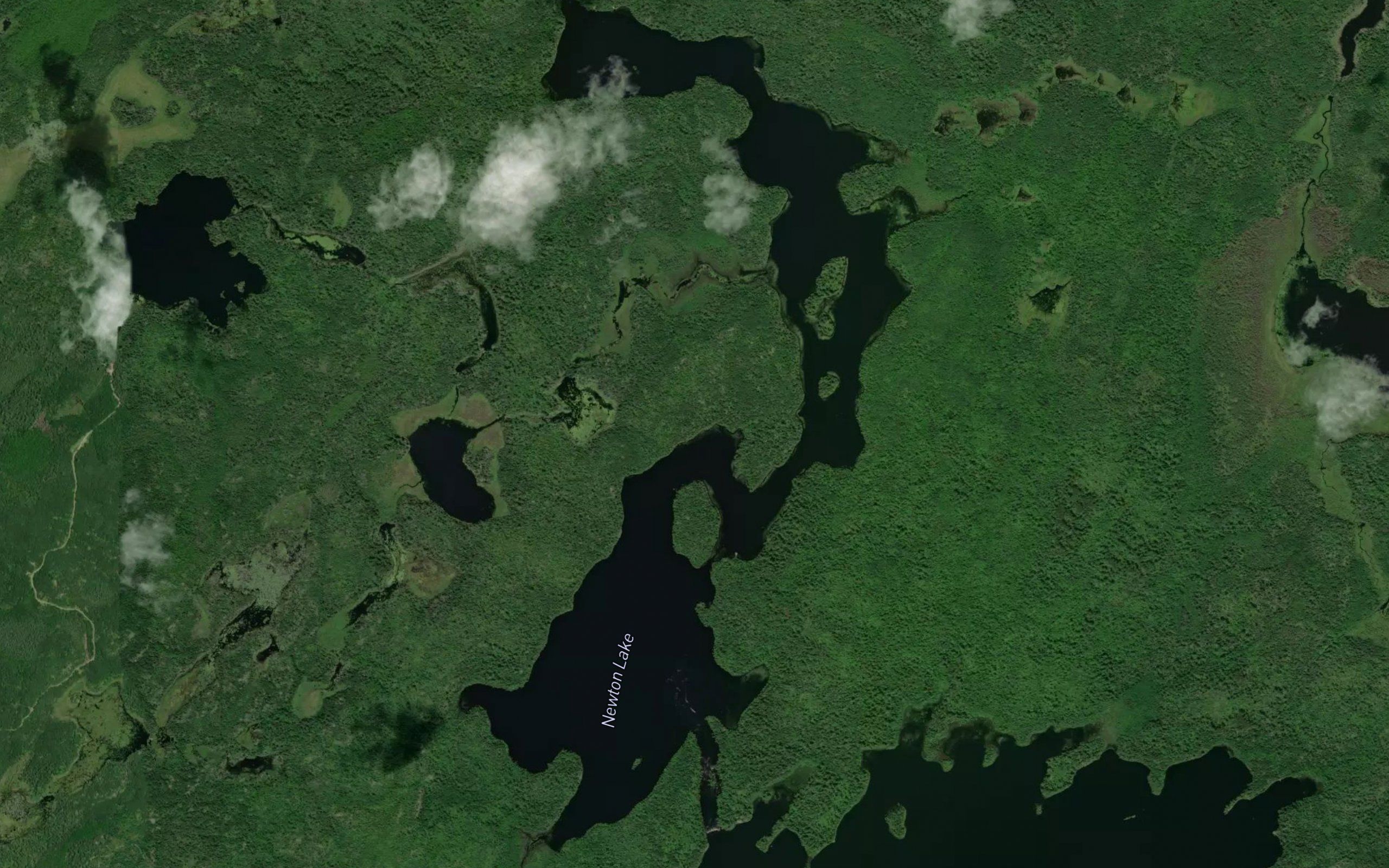 Newton Lake