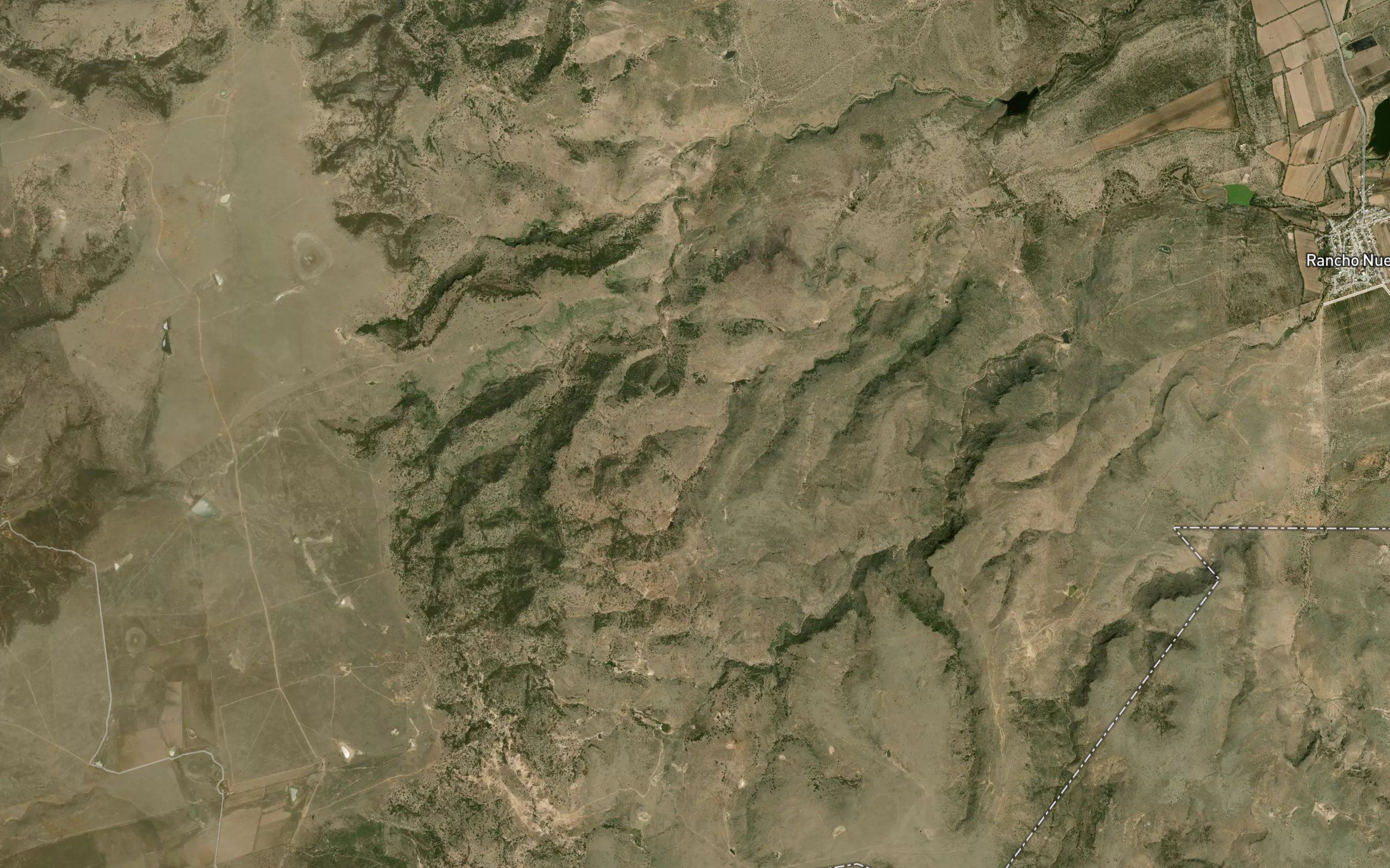 La Palomilla