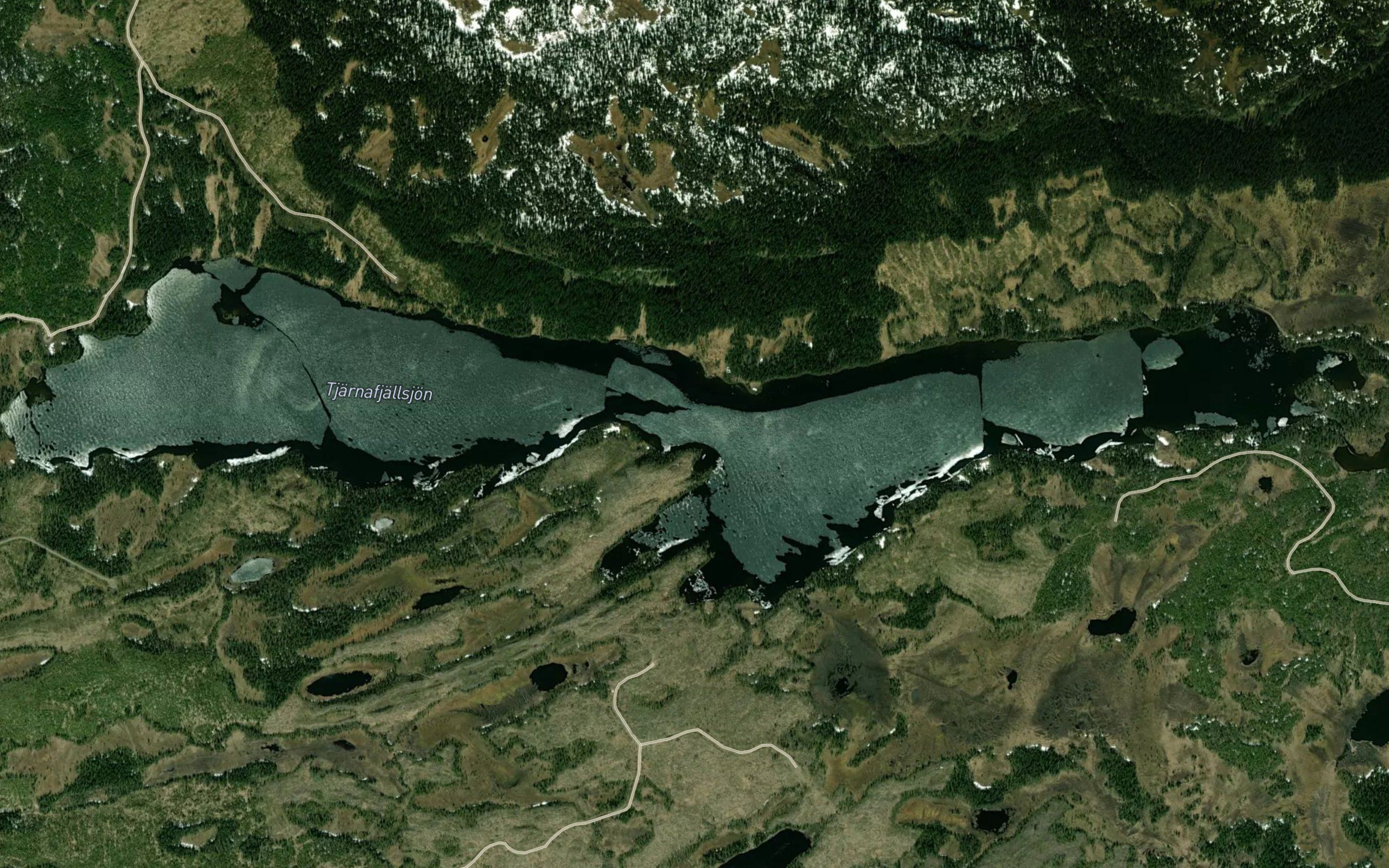Tjanafjallsjon