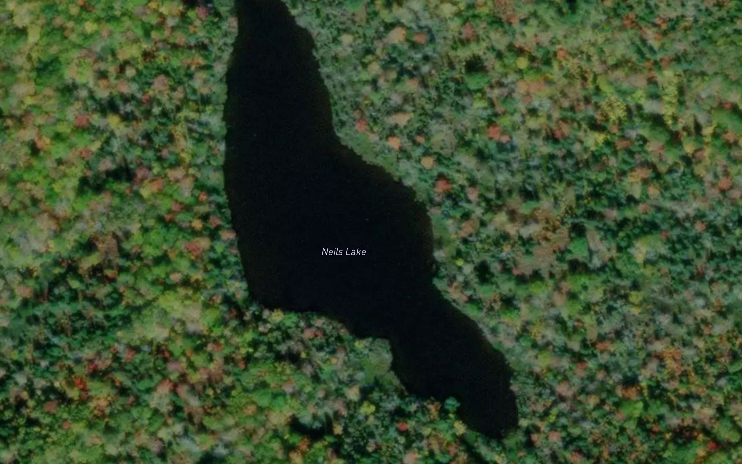 Neils Lake