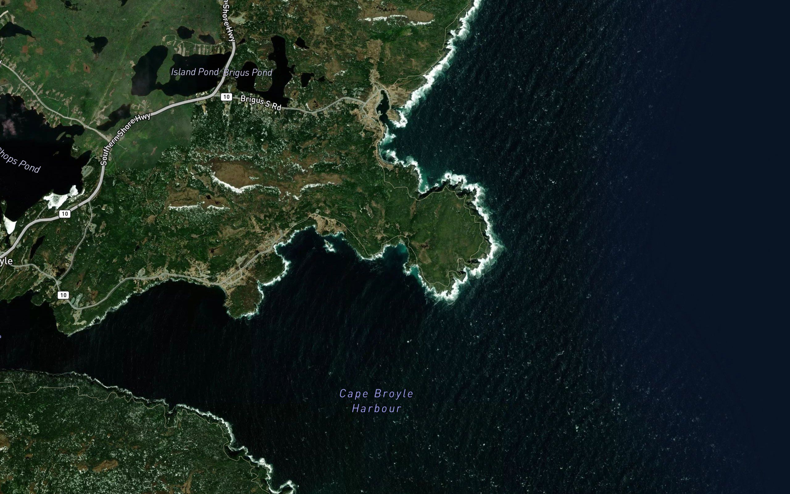 Tar Cove