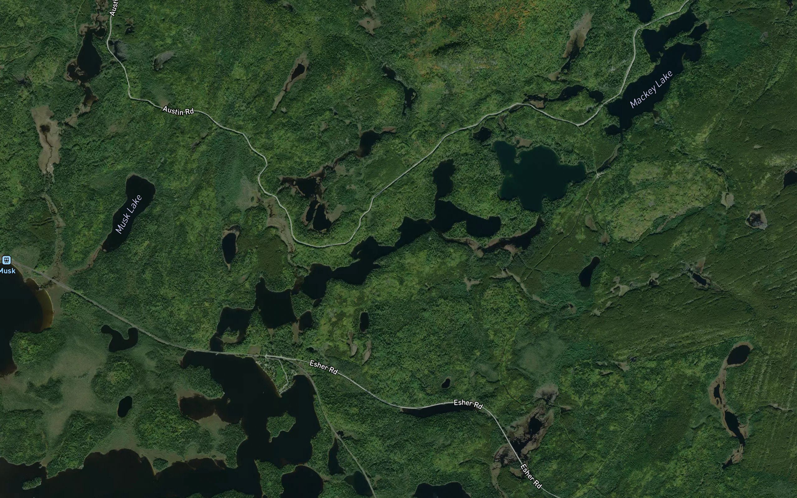 Little Island Lake