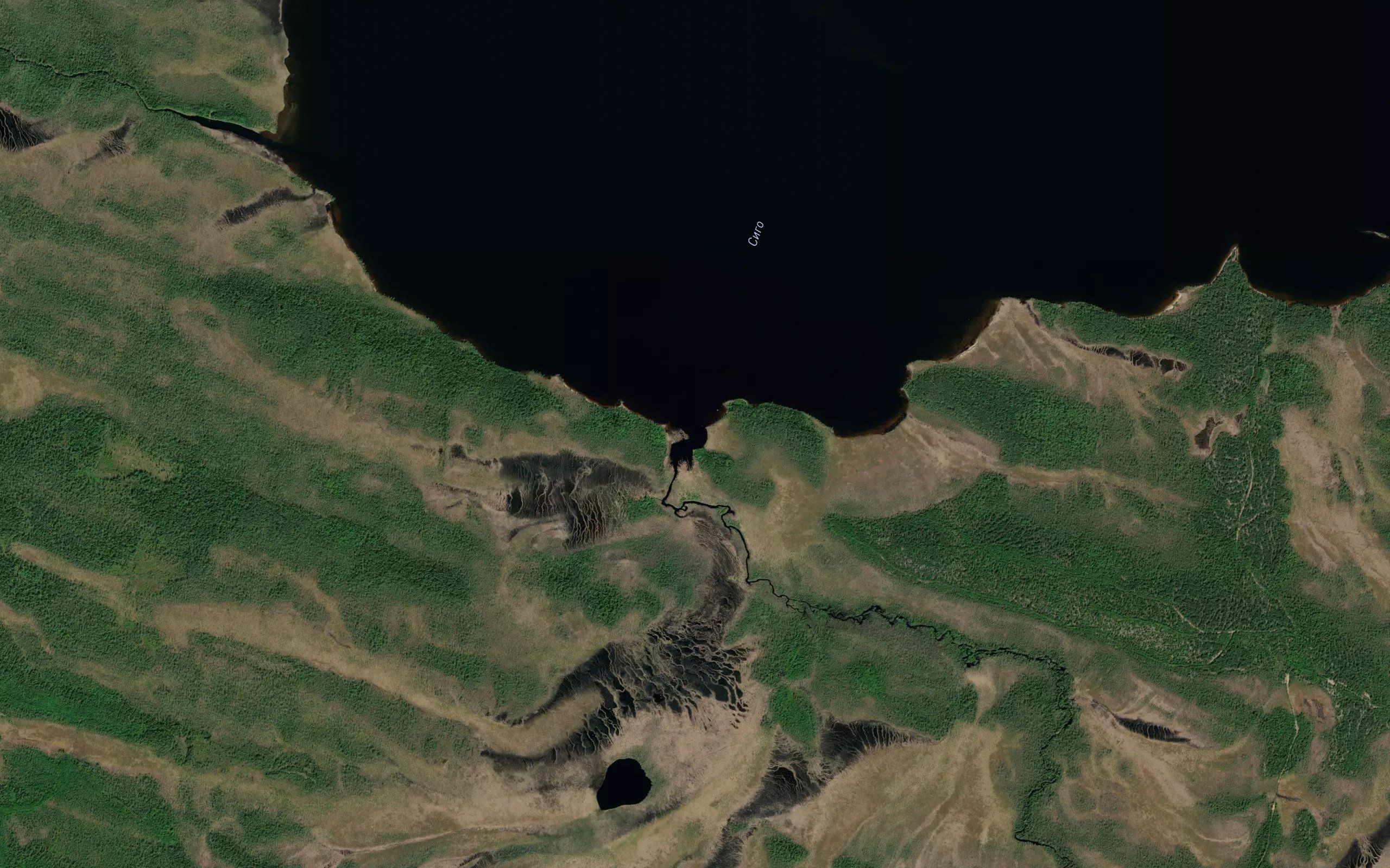 Sigo