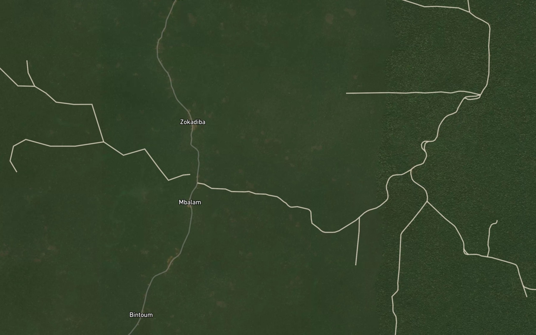 Satellite map of the Mitela