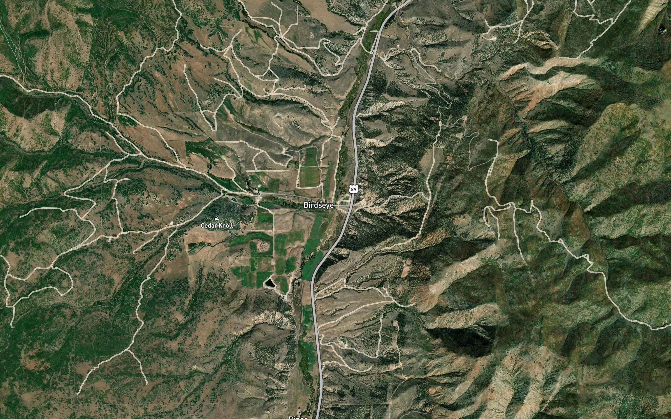 Bennie Creek