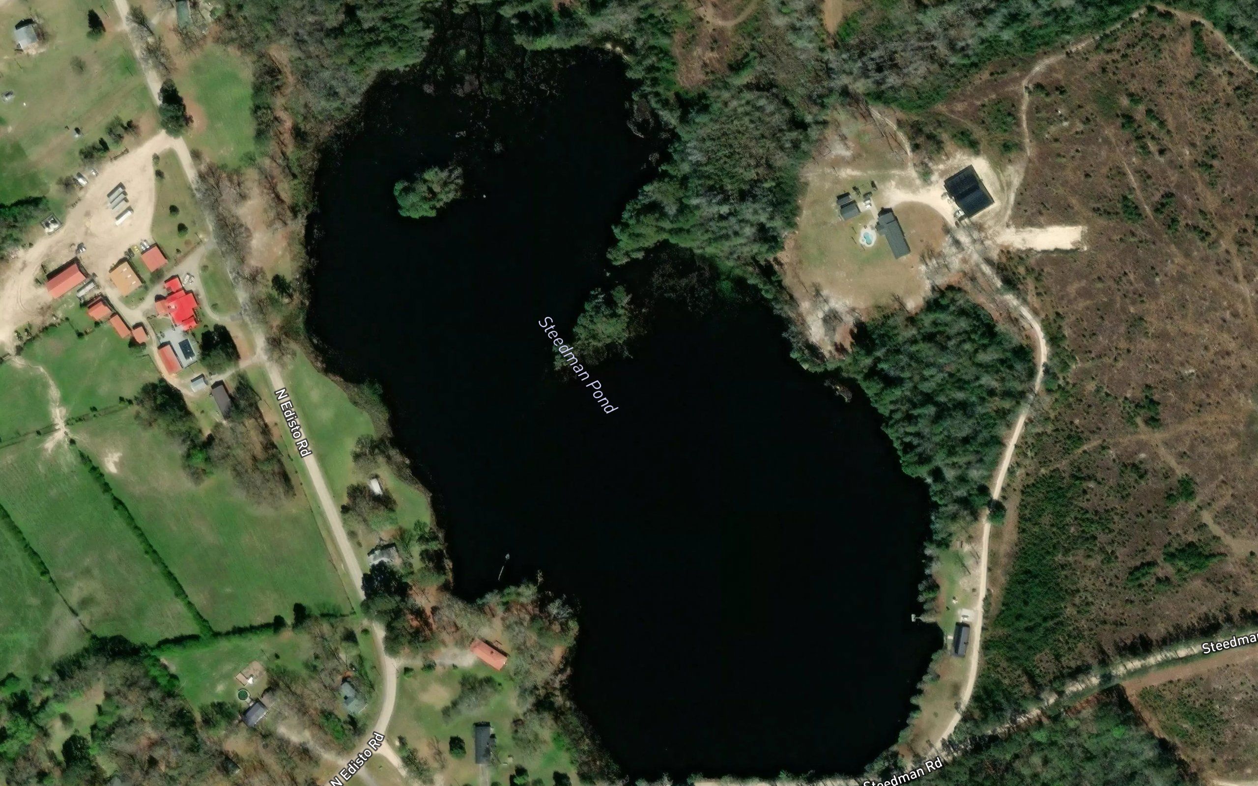 Steedman Pond