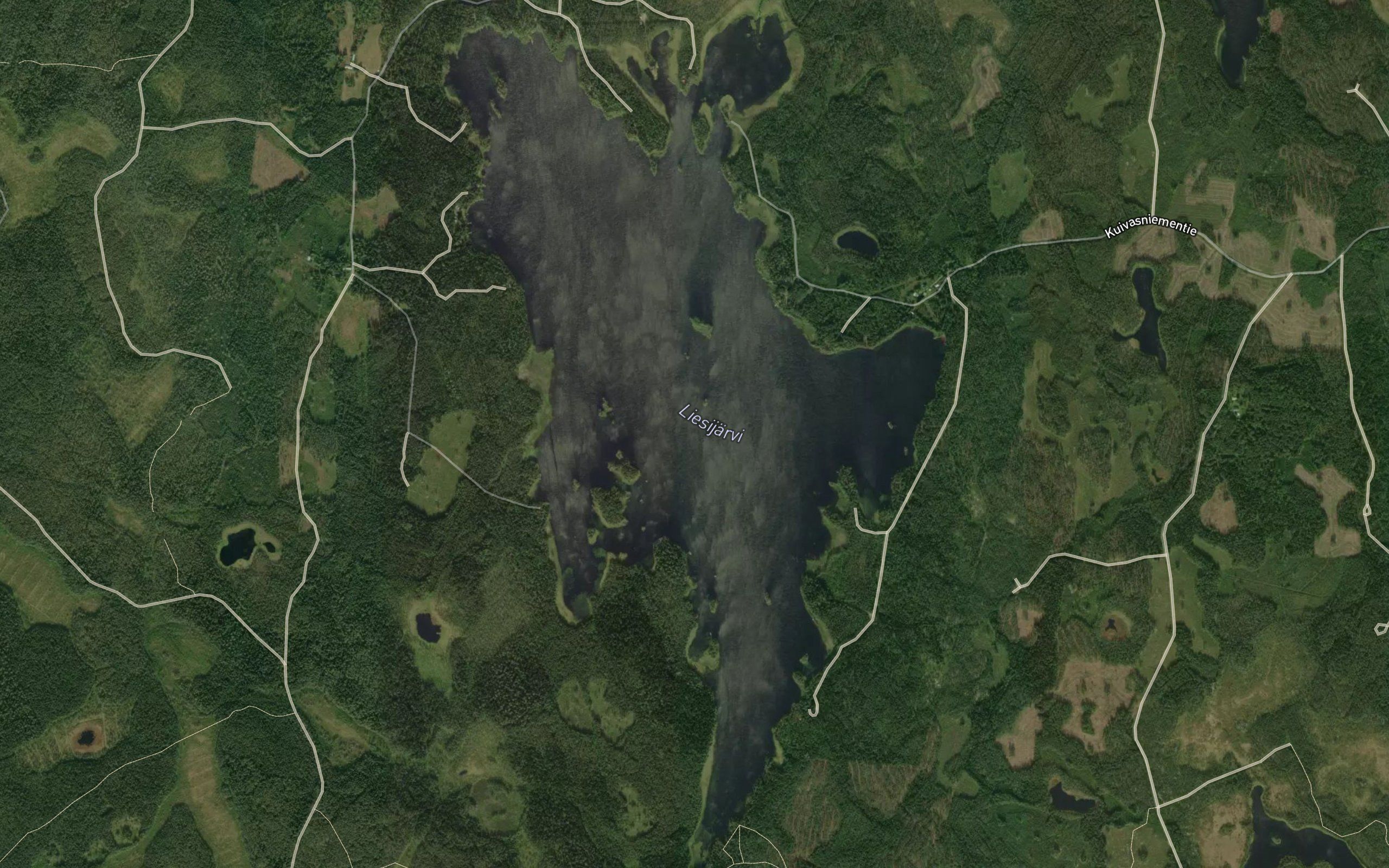 Liesijarvi