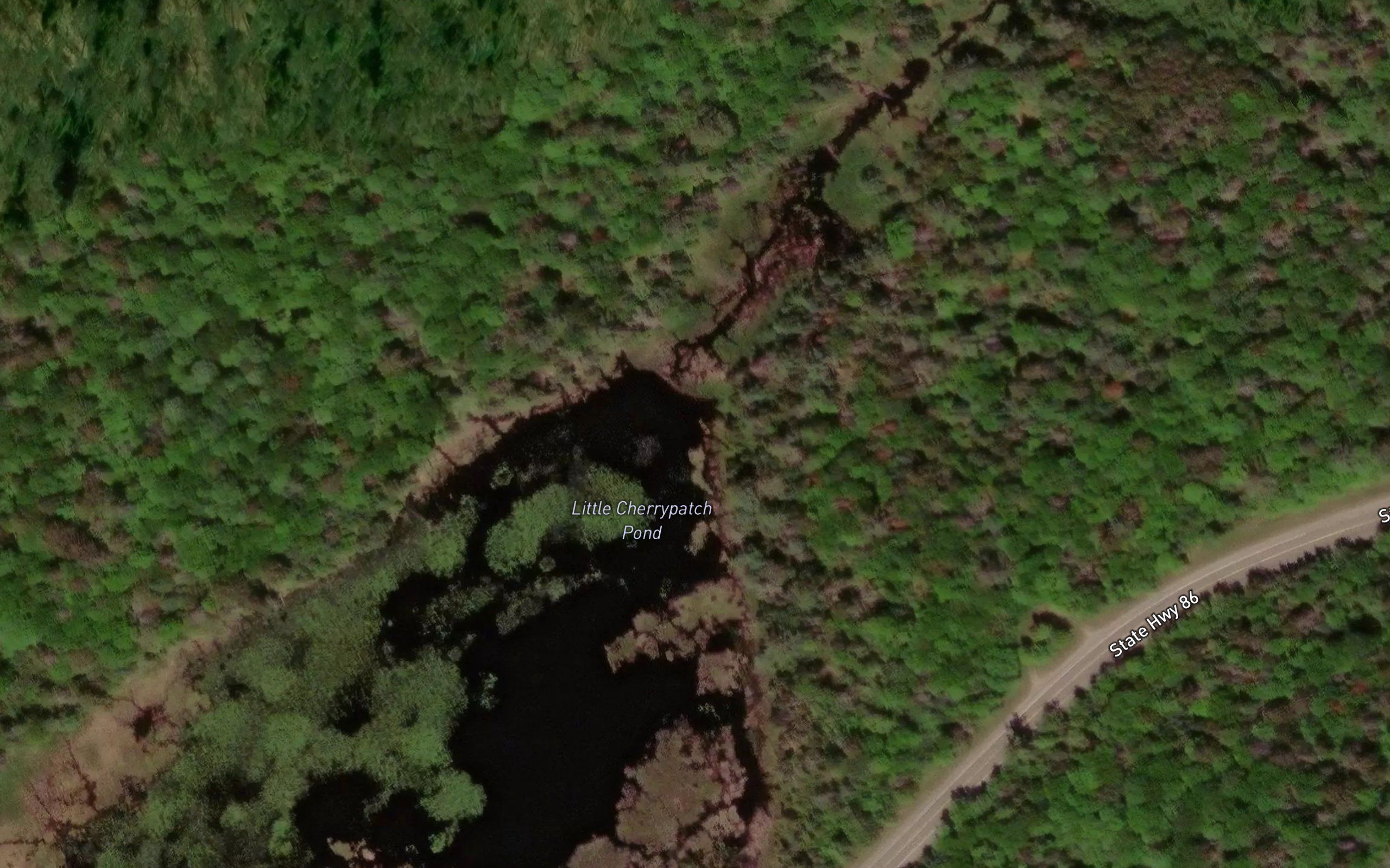 Little Cherrypatch Pond