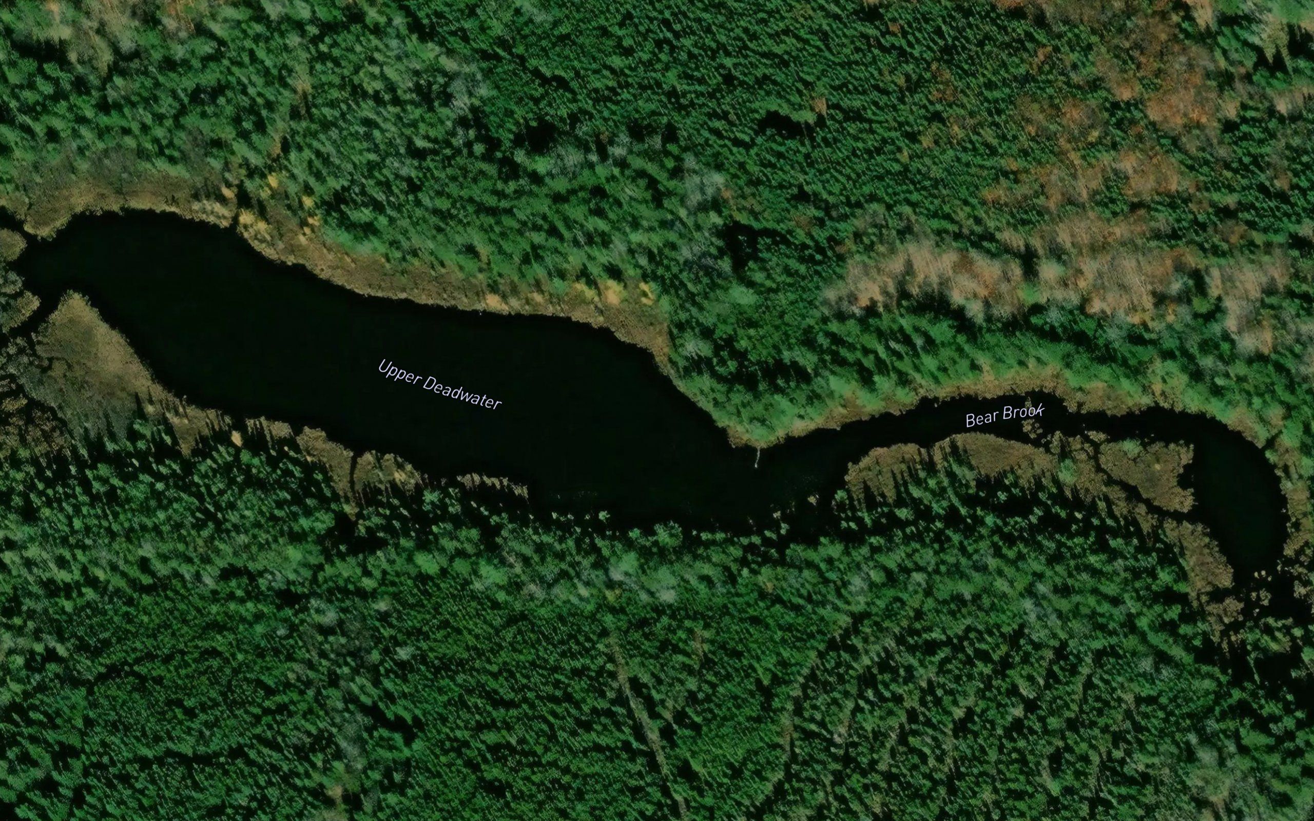 Upper Deadwater