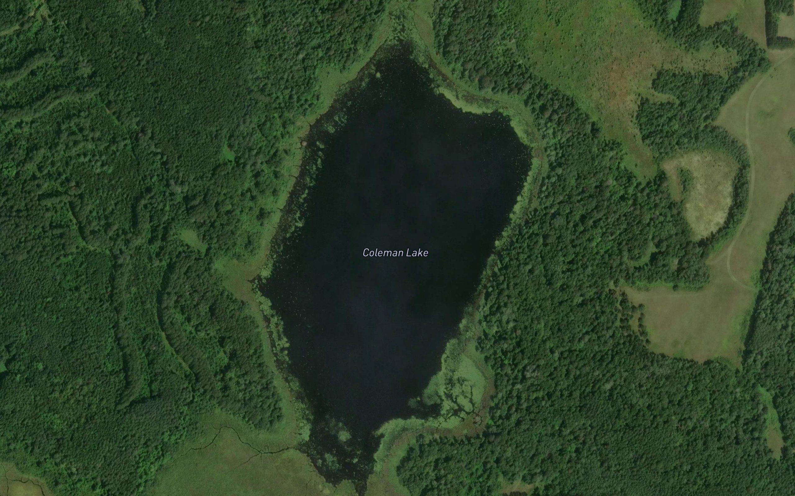 Coleman Lake