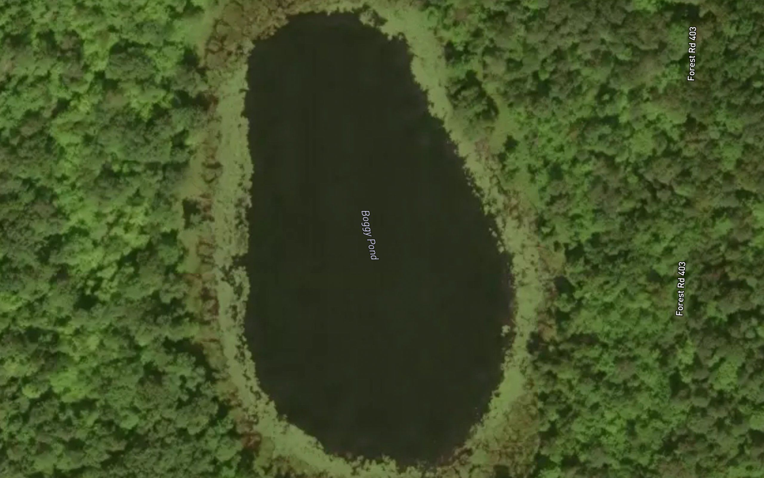 Boggy Pond
