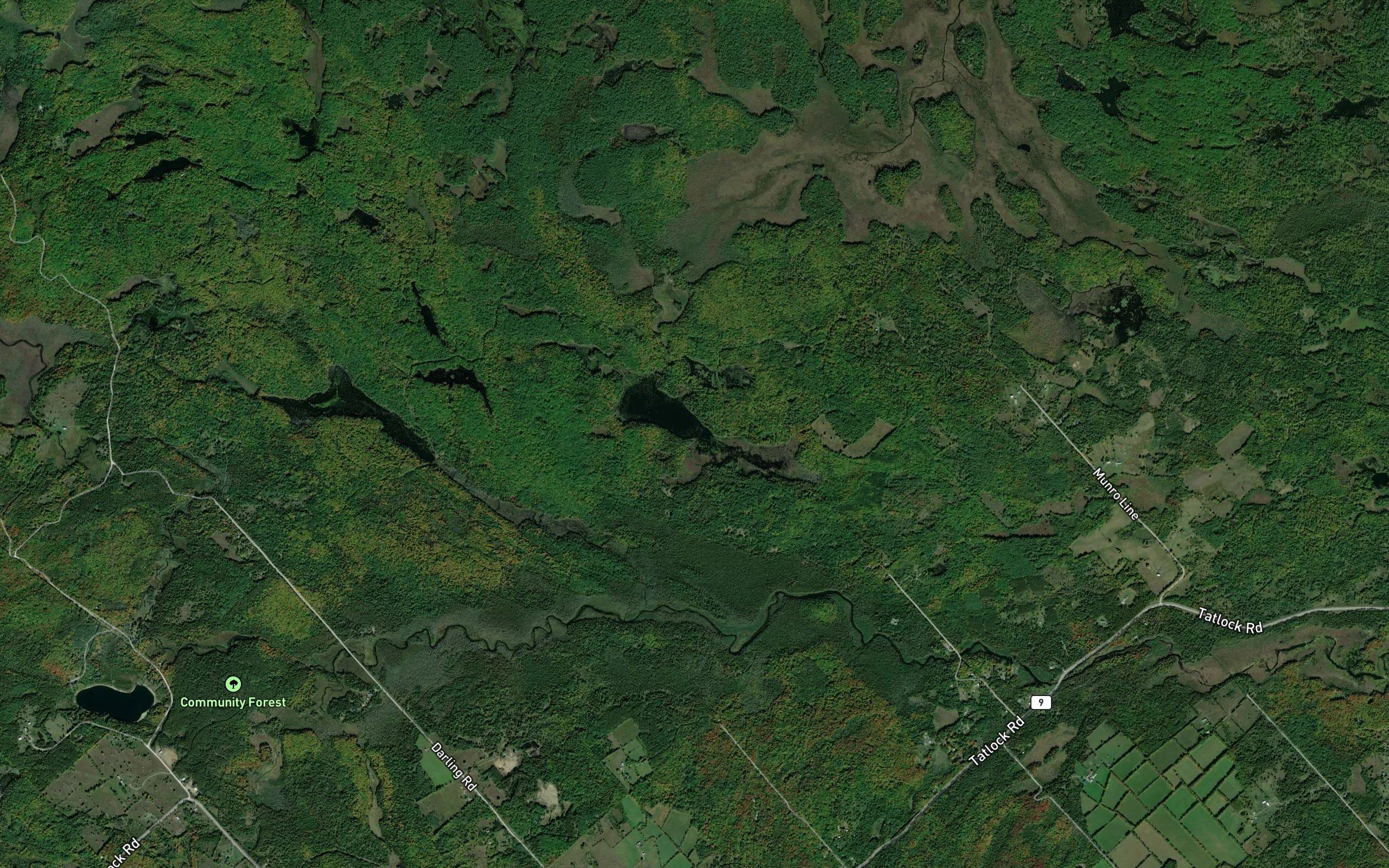 Madden Lake