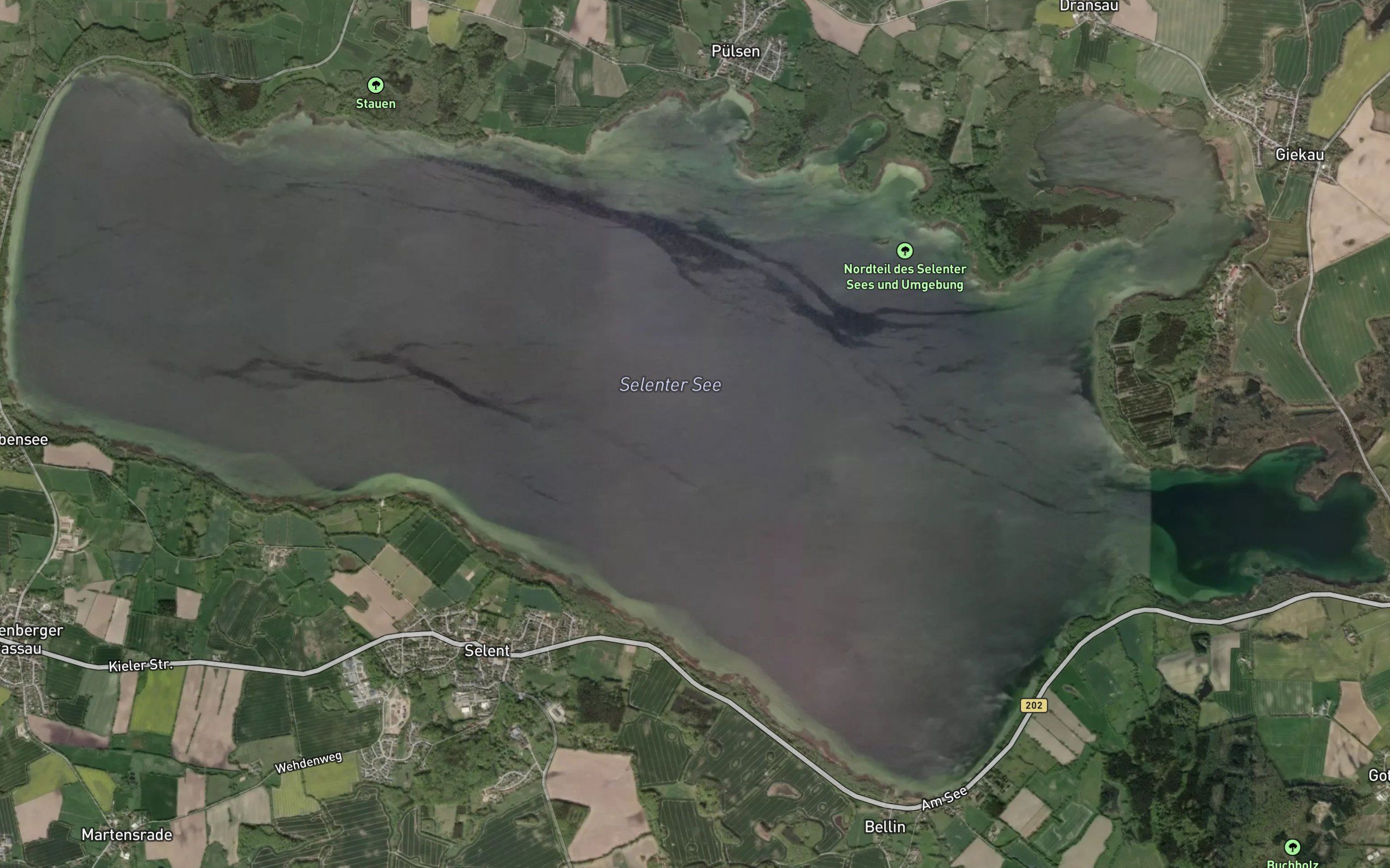 Selenter See