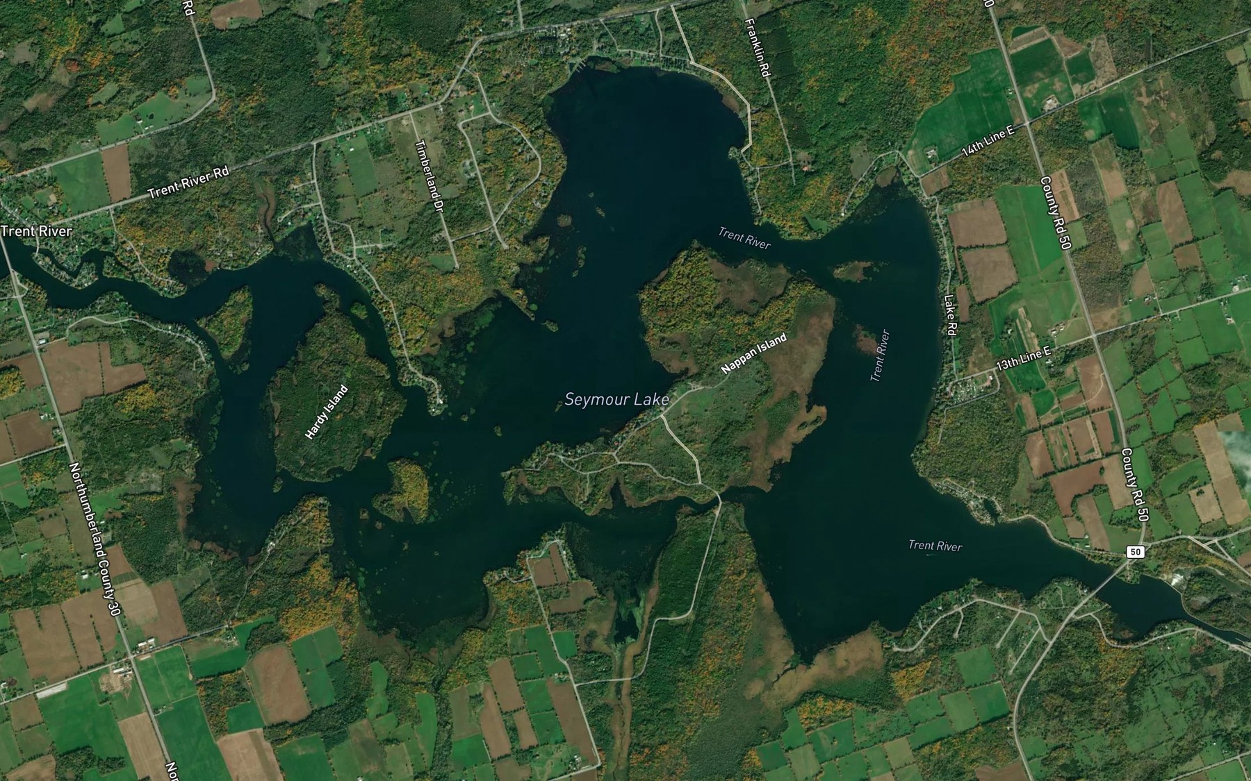 Satellite map of the Seymour Lake