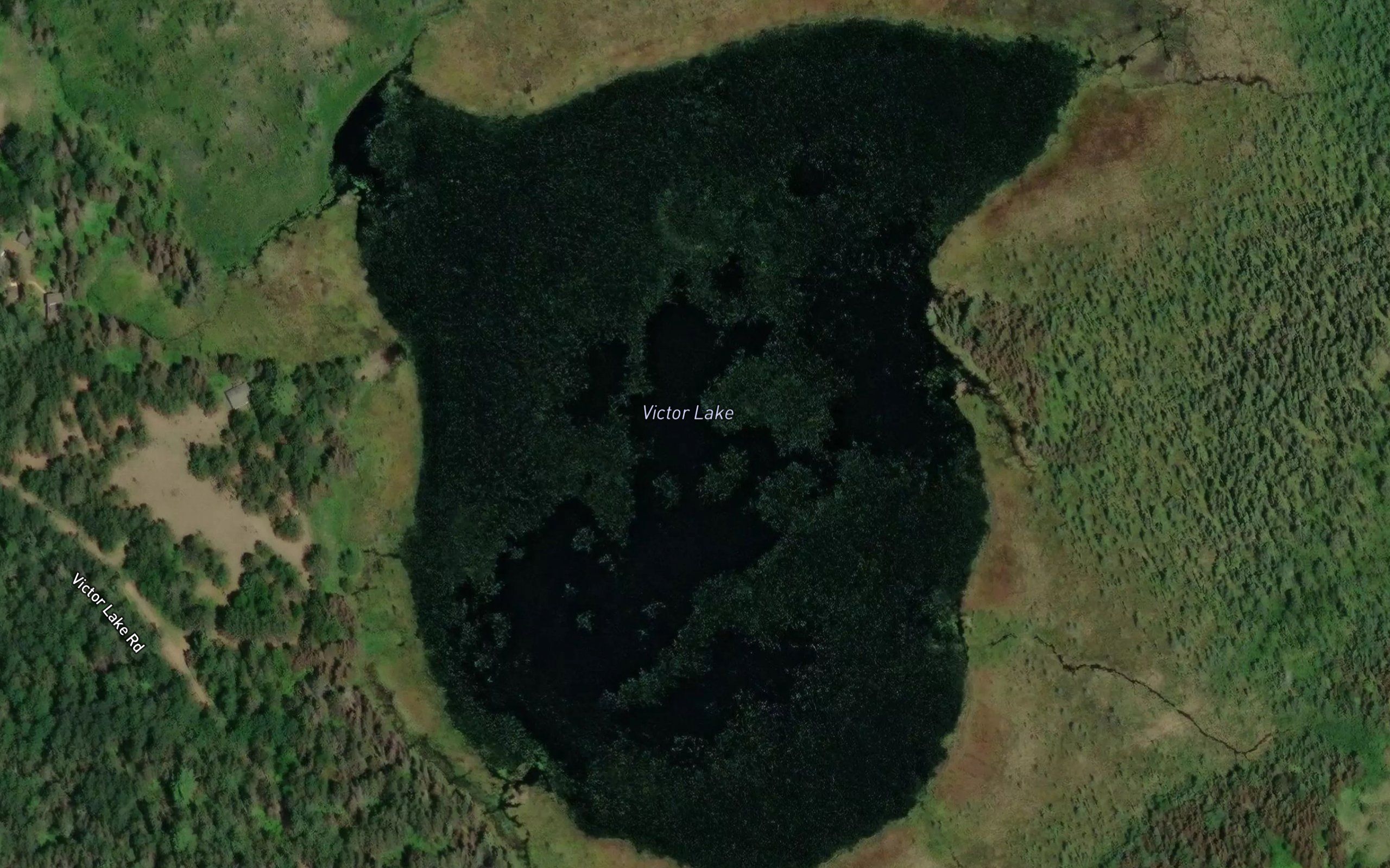 Victor Lake