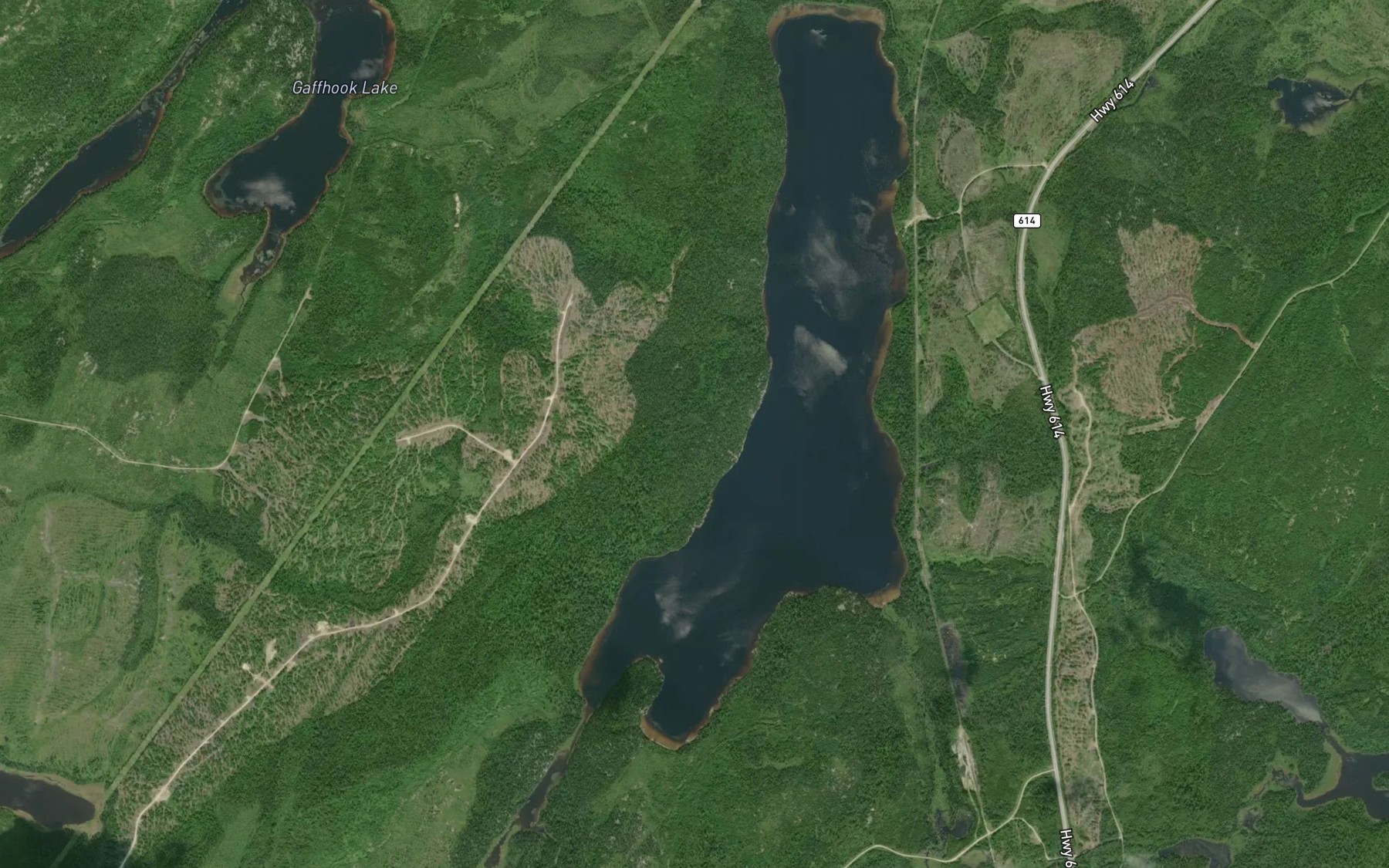 Satellite map of the Barehead Lake